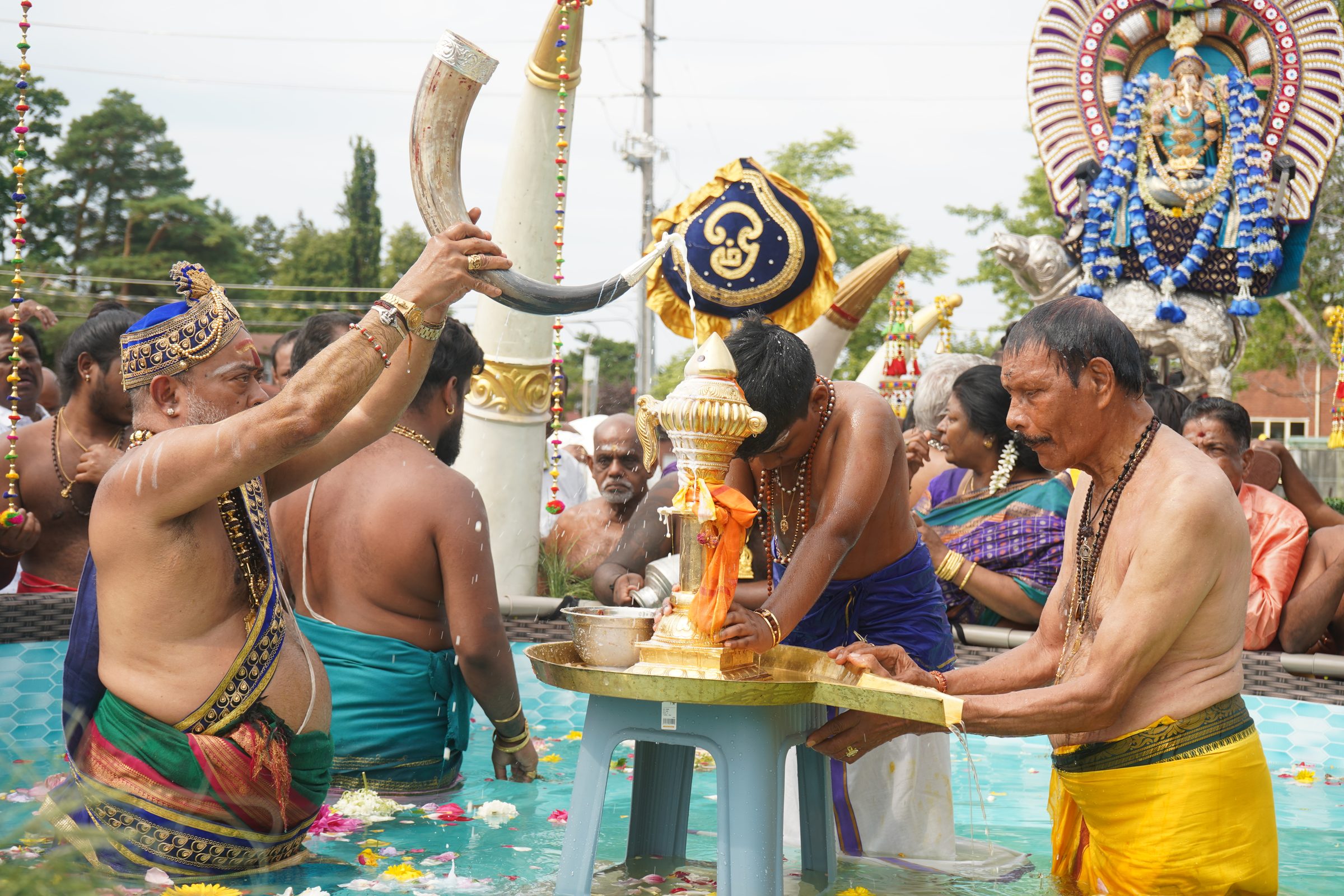 Festival 2026 photo