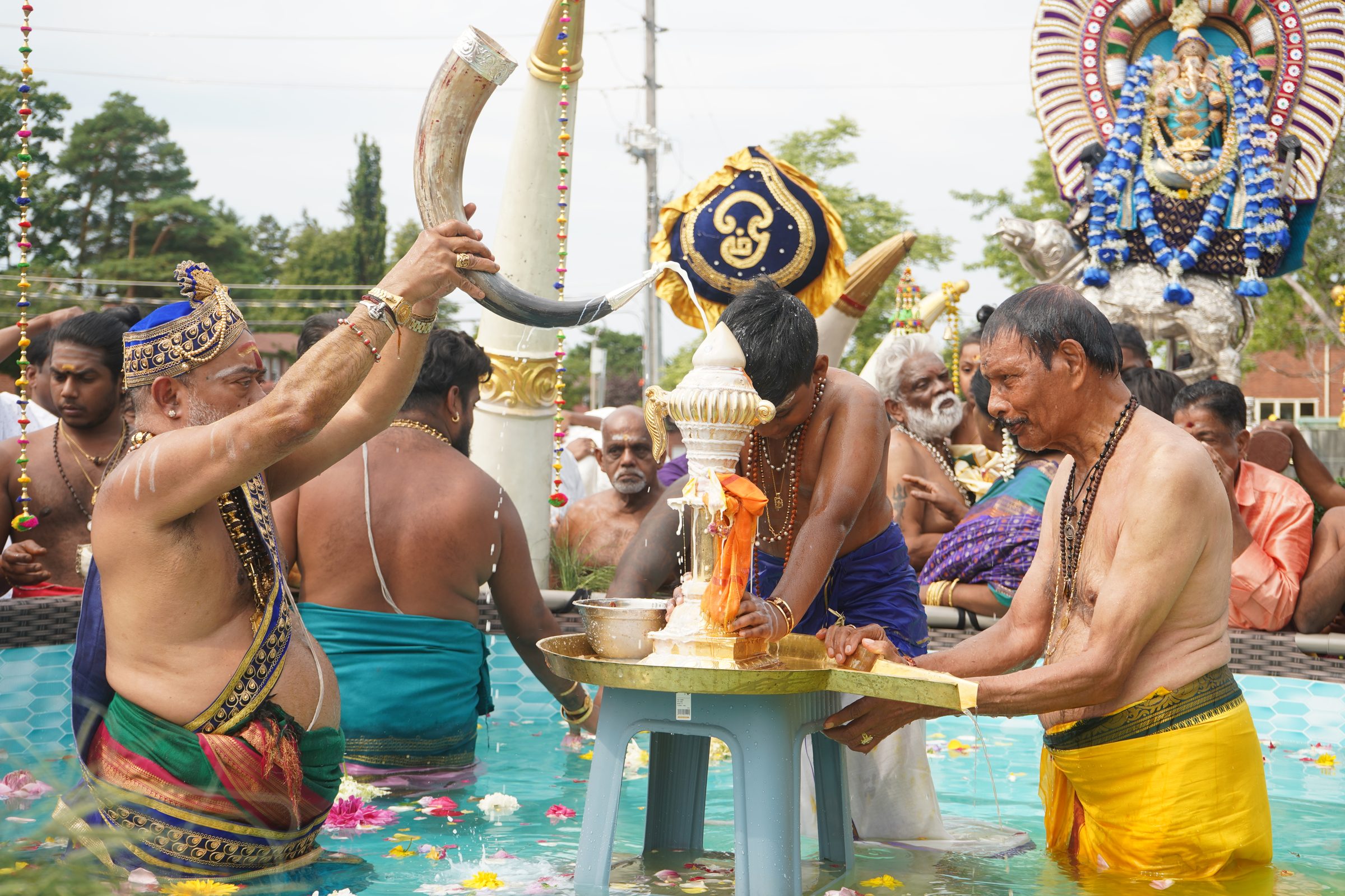 Festival 2026 photo