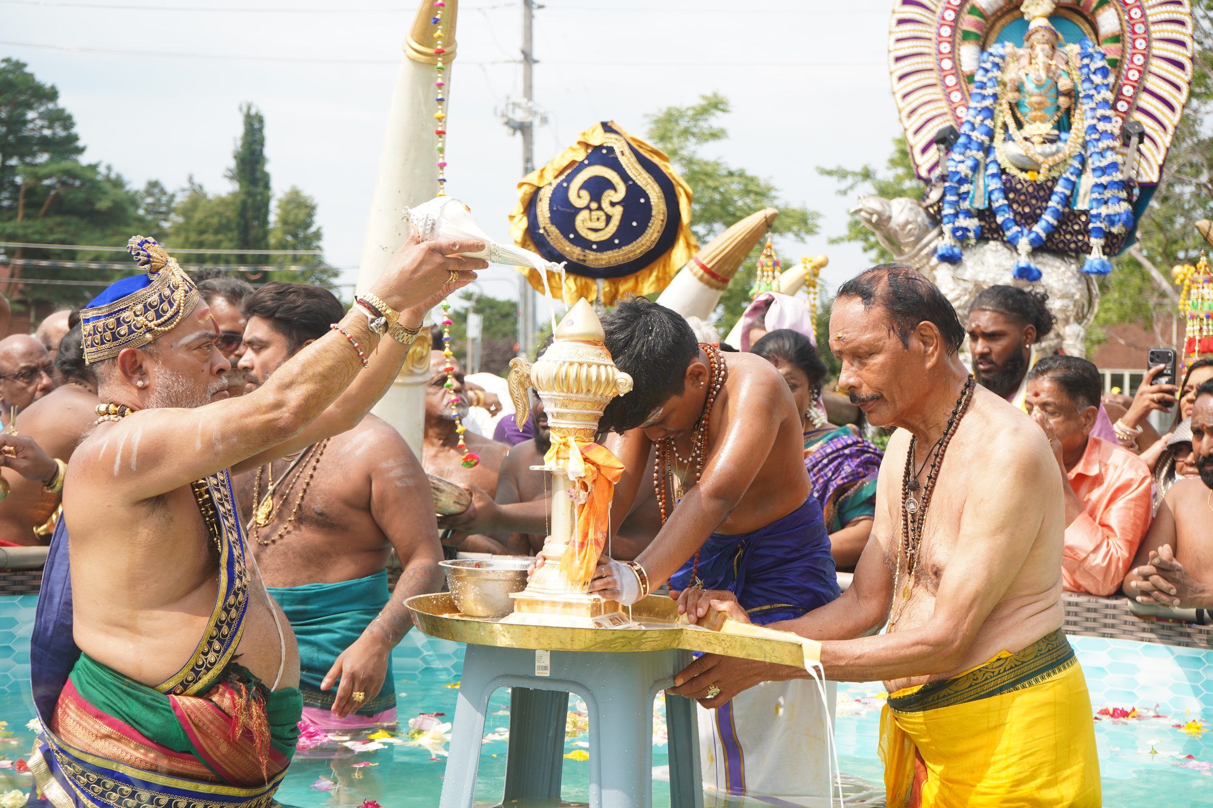 Festival 2026 photo