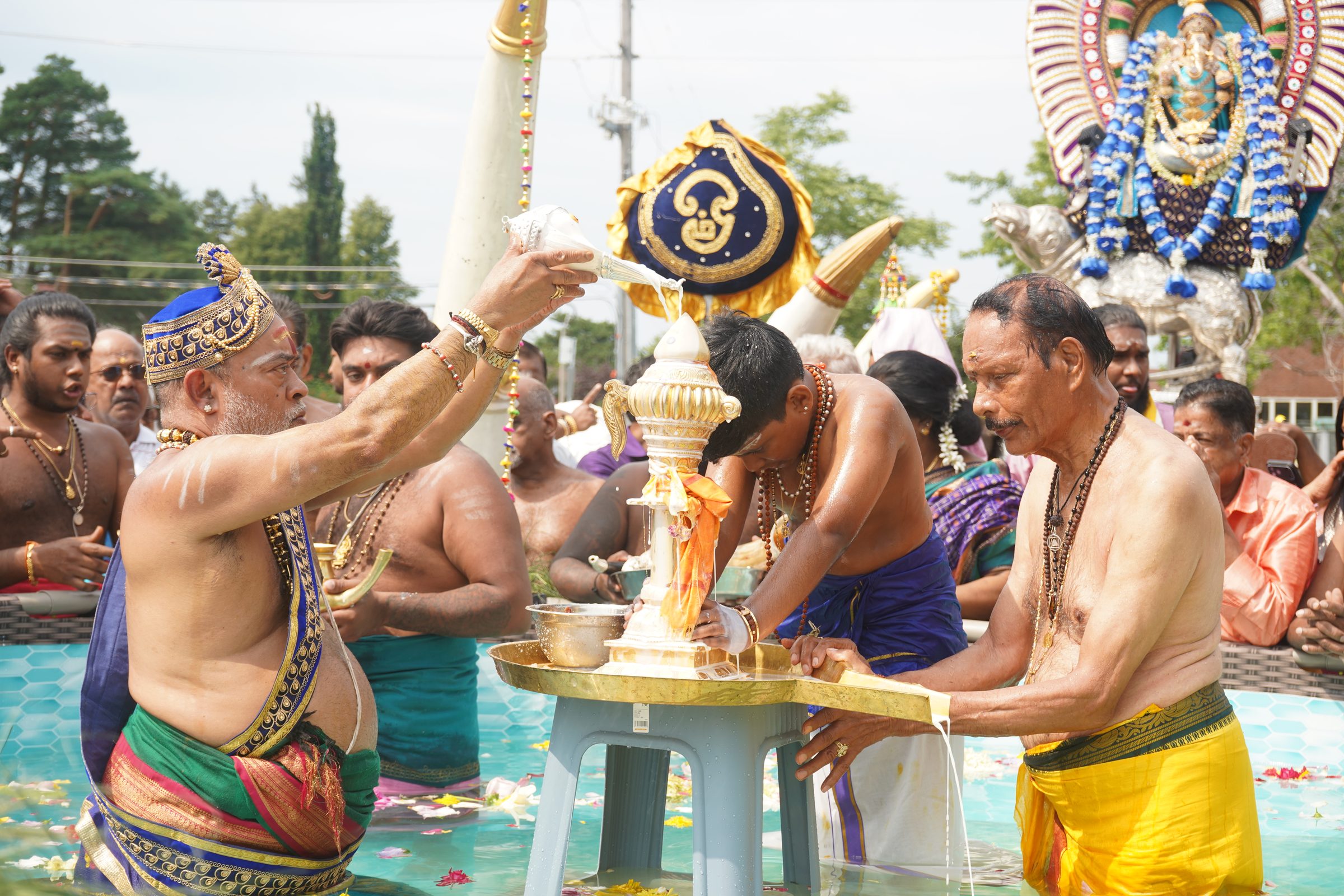 Festival 2026 photo