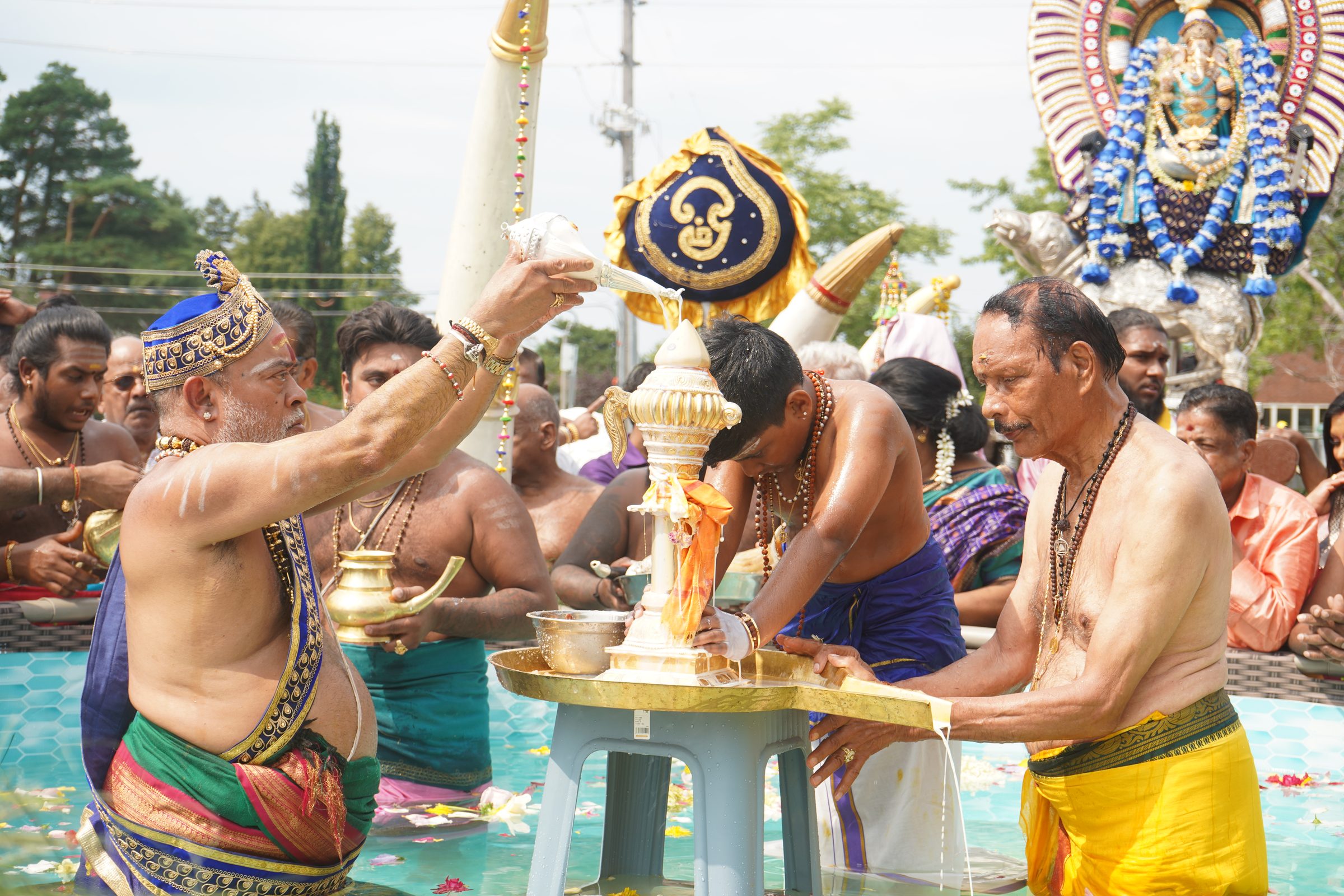 Festival 2026 photo