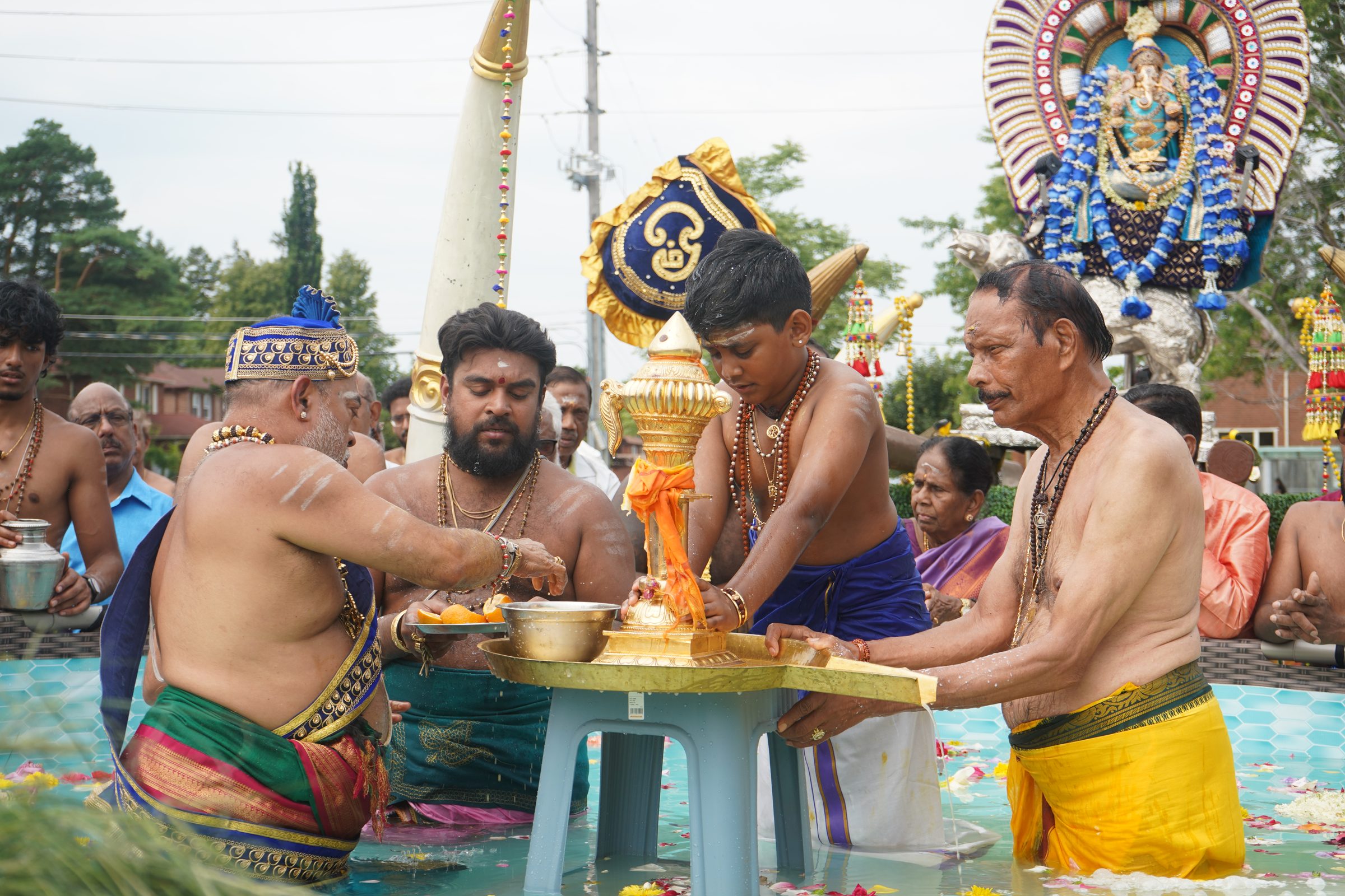 Festival 2026 photo