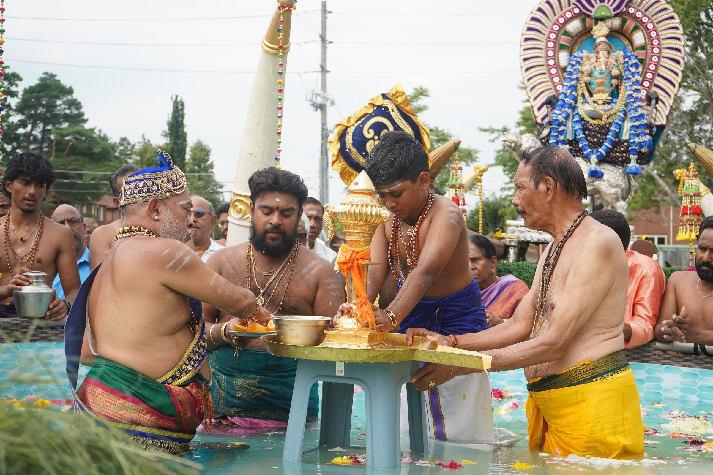 Festival 2026 photo