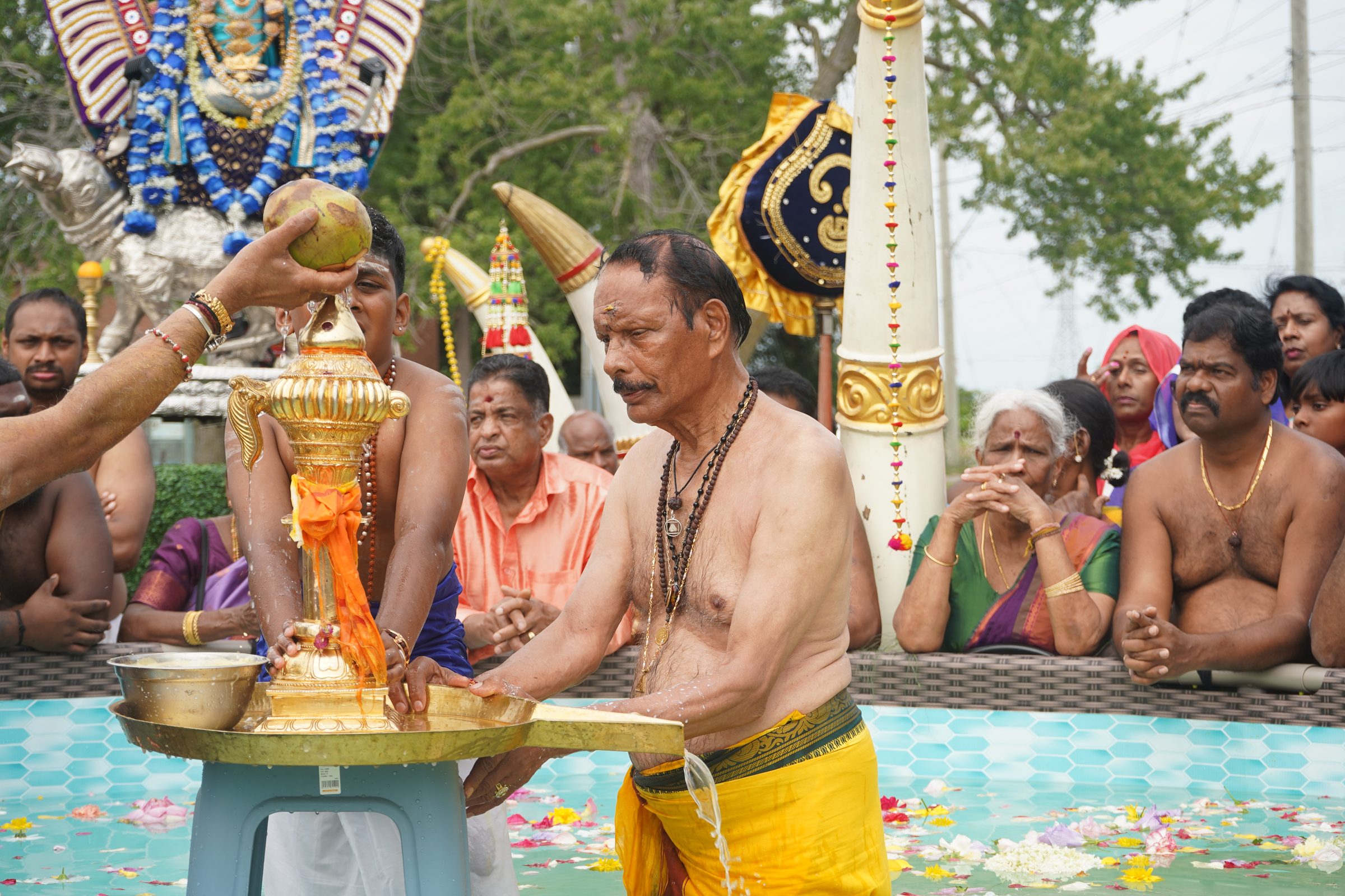 Festival 2026 photo