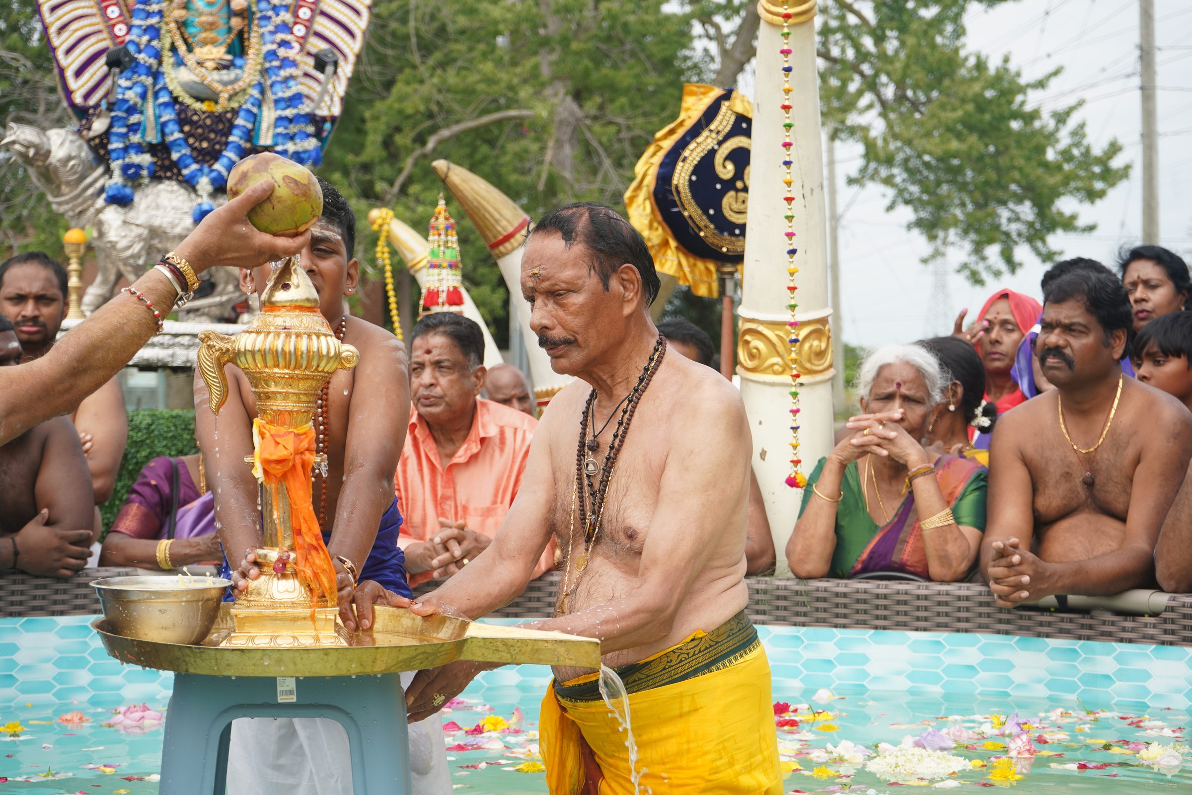 Festival 2026 photo