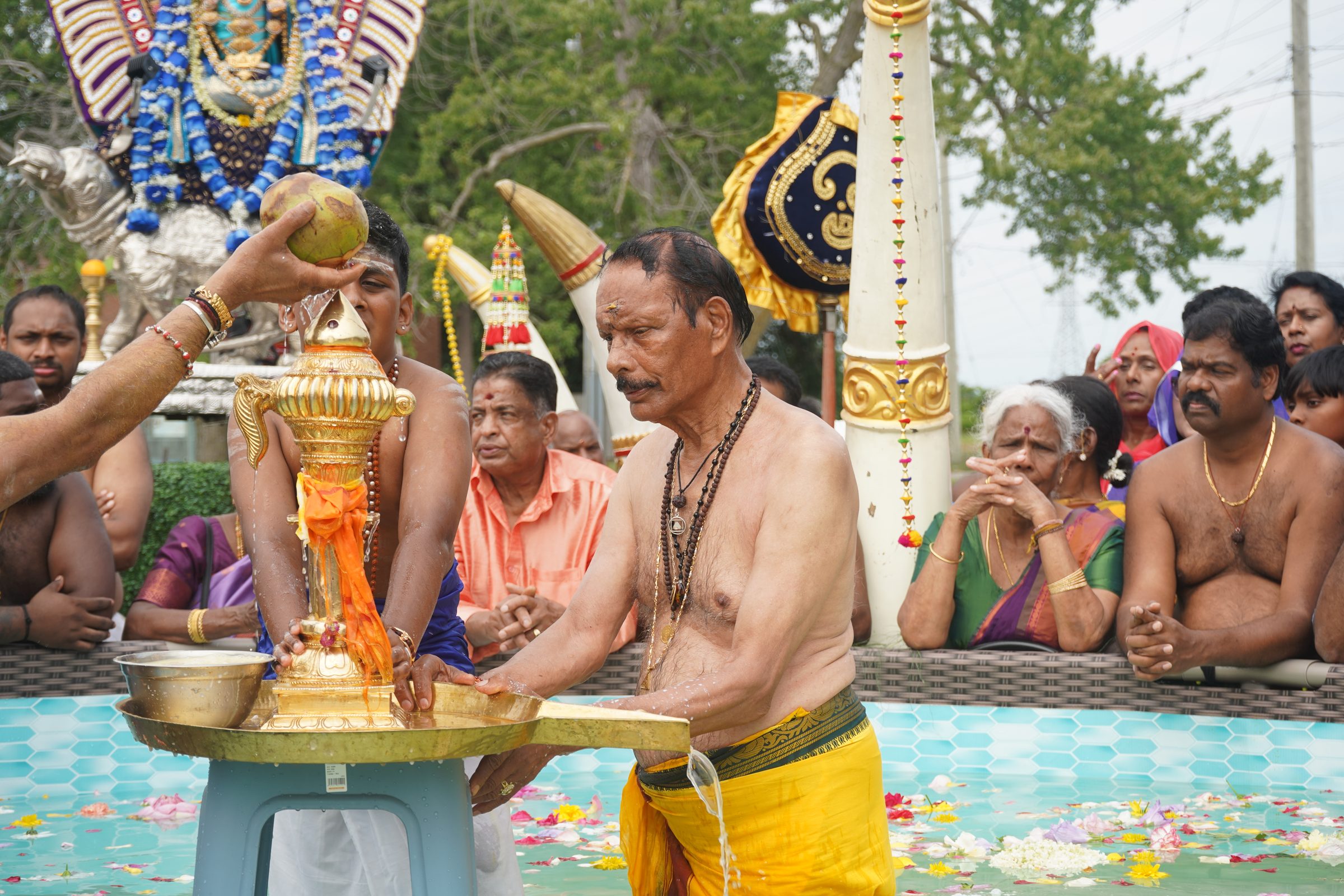 Festival 2026 photo