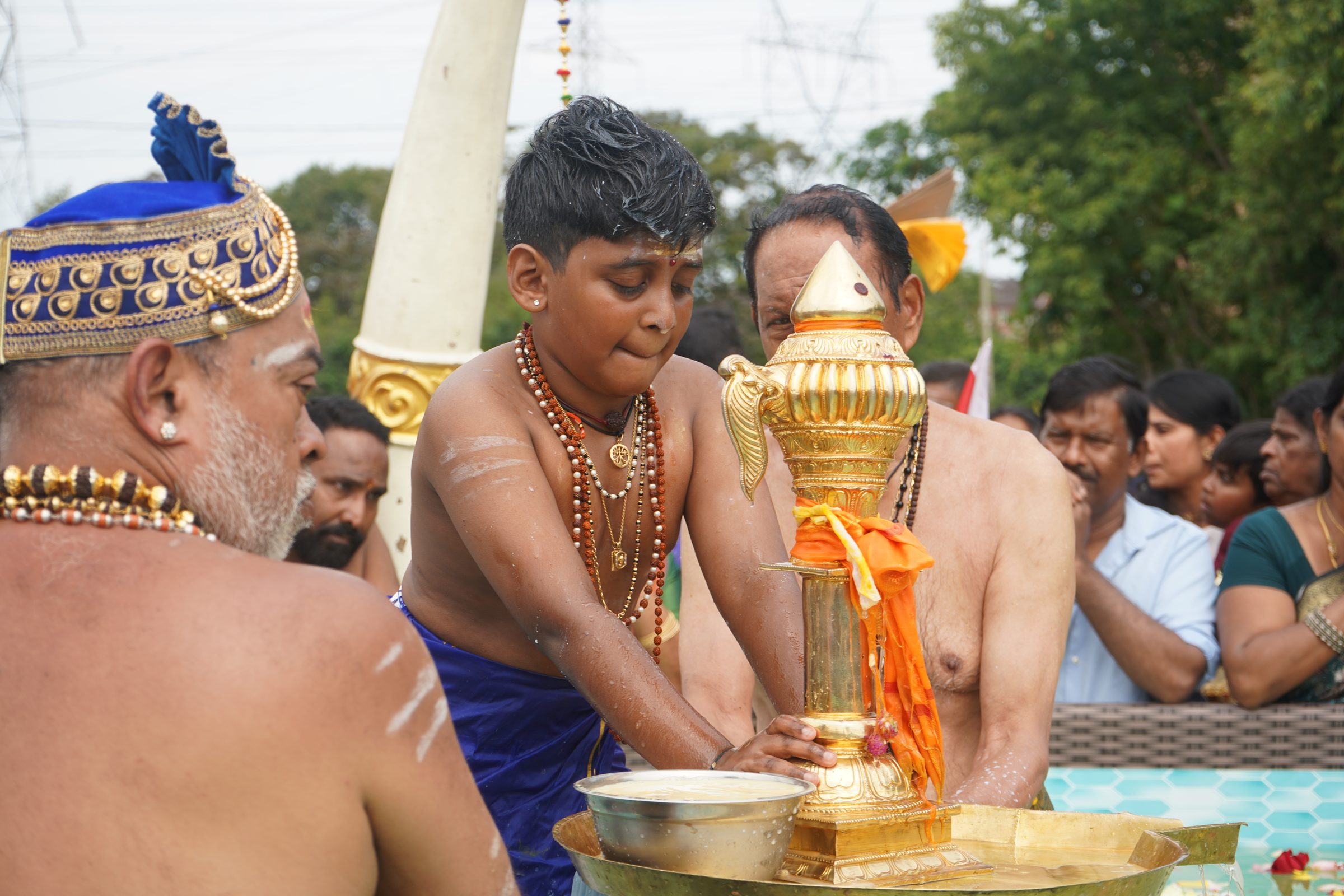 Festival 2026 photo