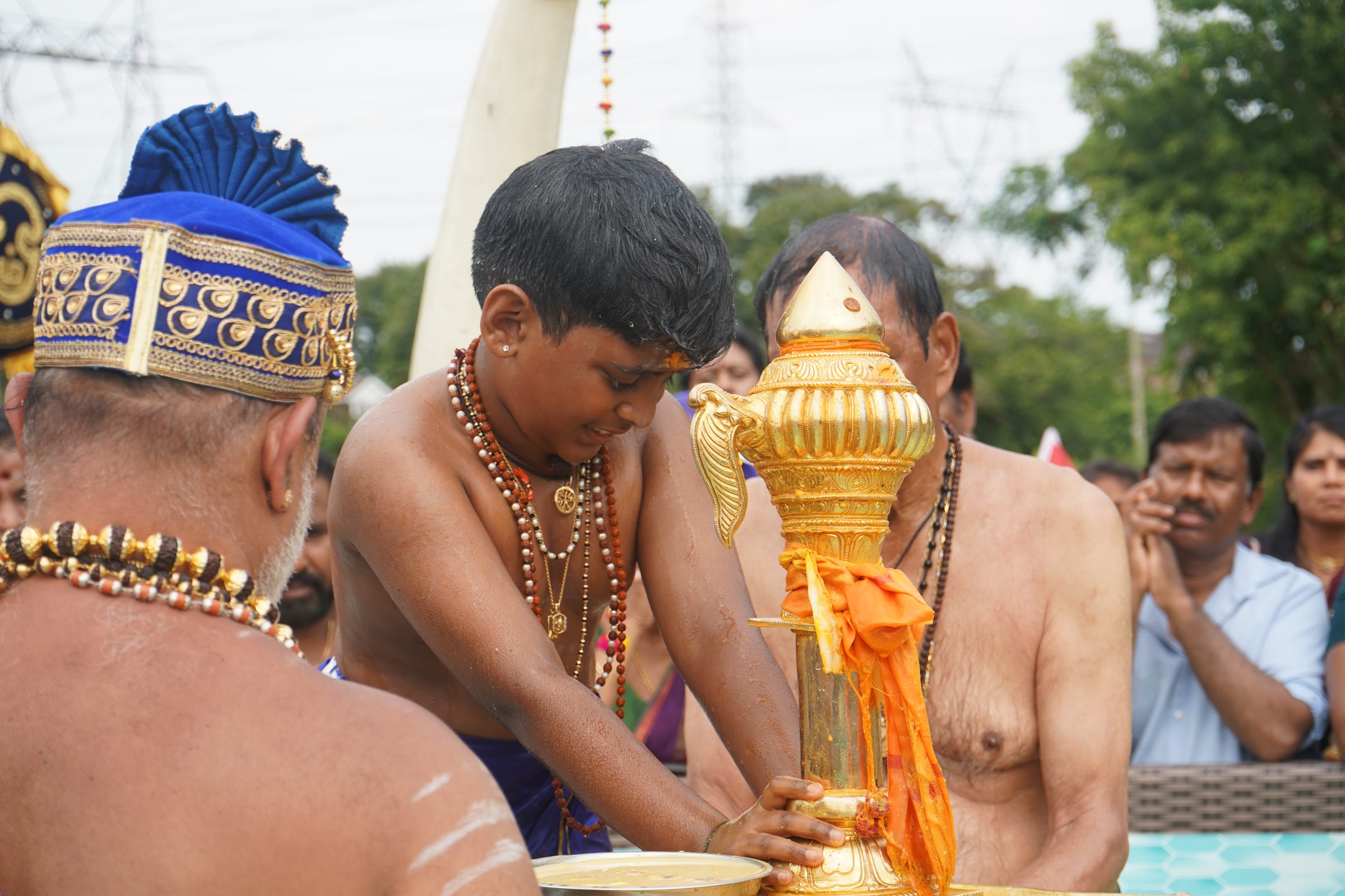 Festival 2026 photo