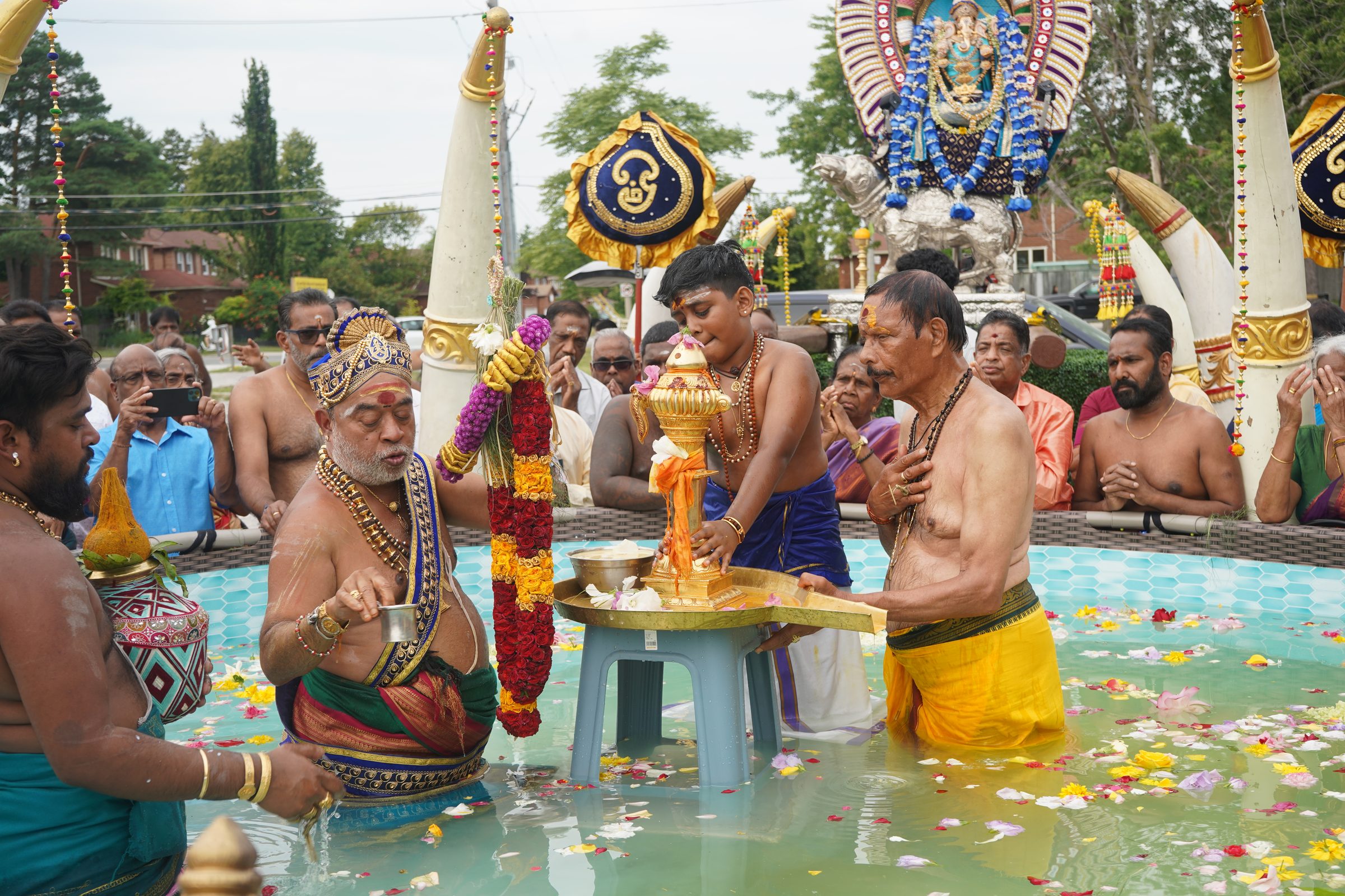 Festival 2026 photo