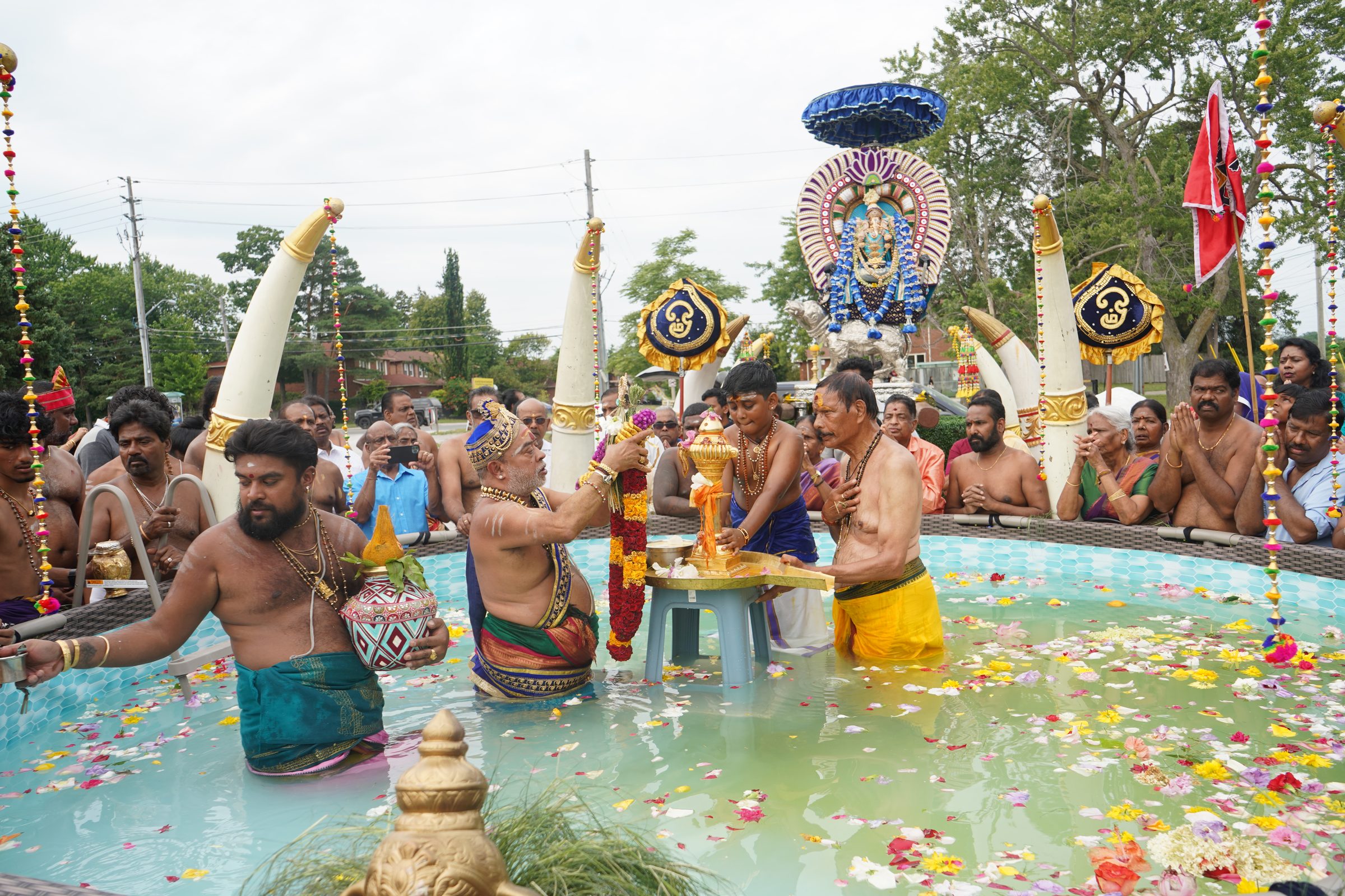 Festival 2026 photo