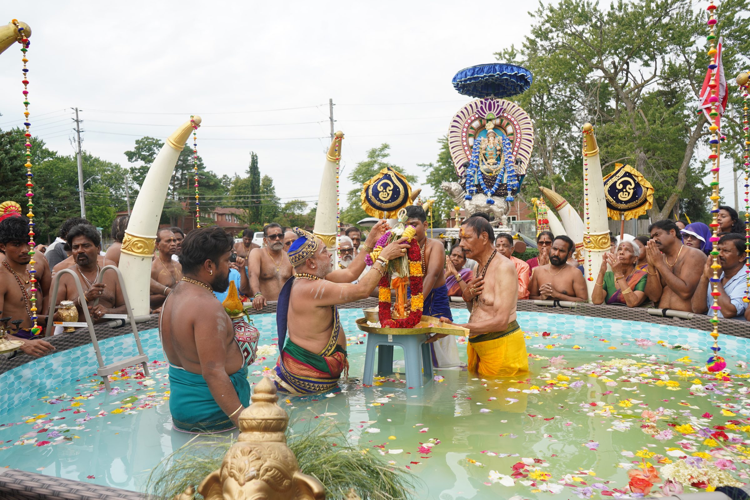 Festival 2026 photo