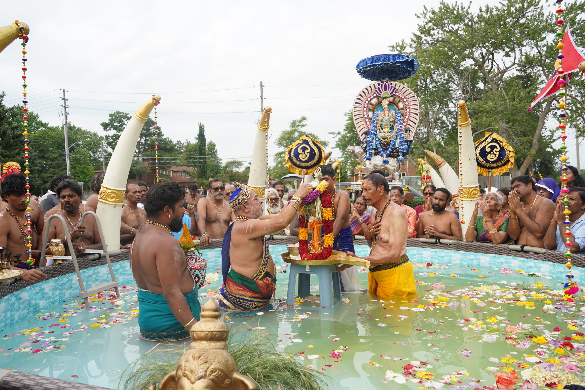 Festival 2026 photo