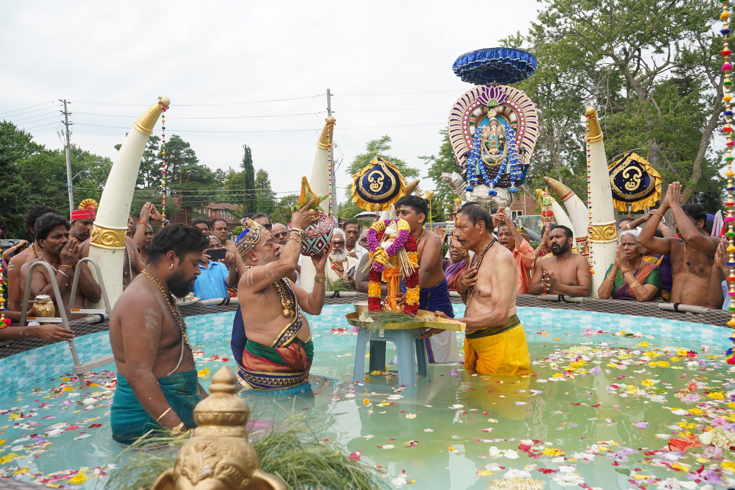 Festival 2026 photo