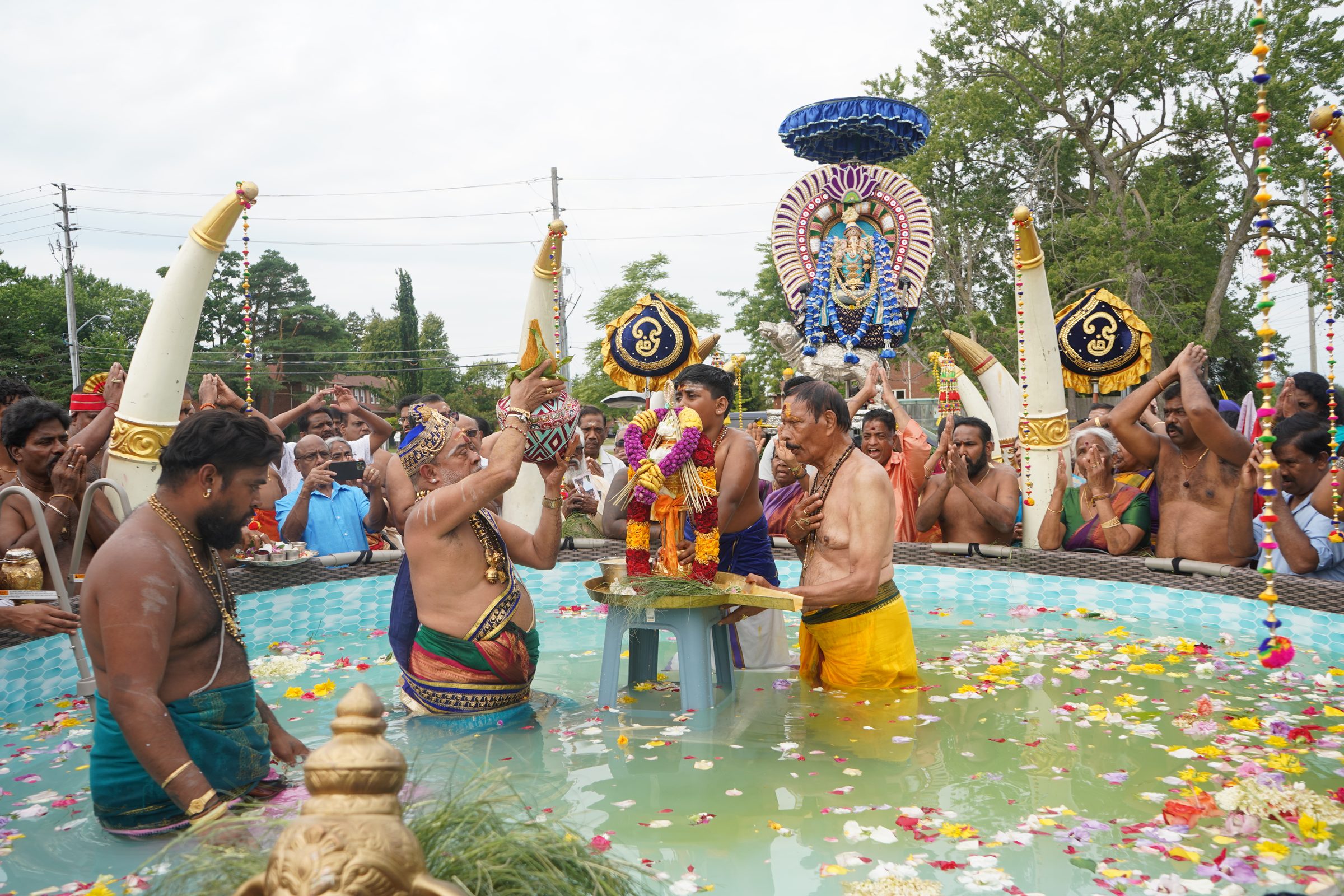 Festival 2026 photo