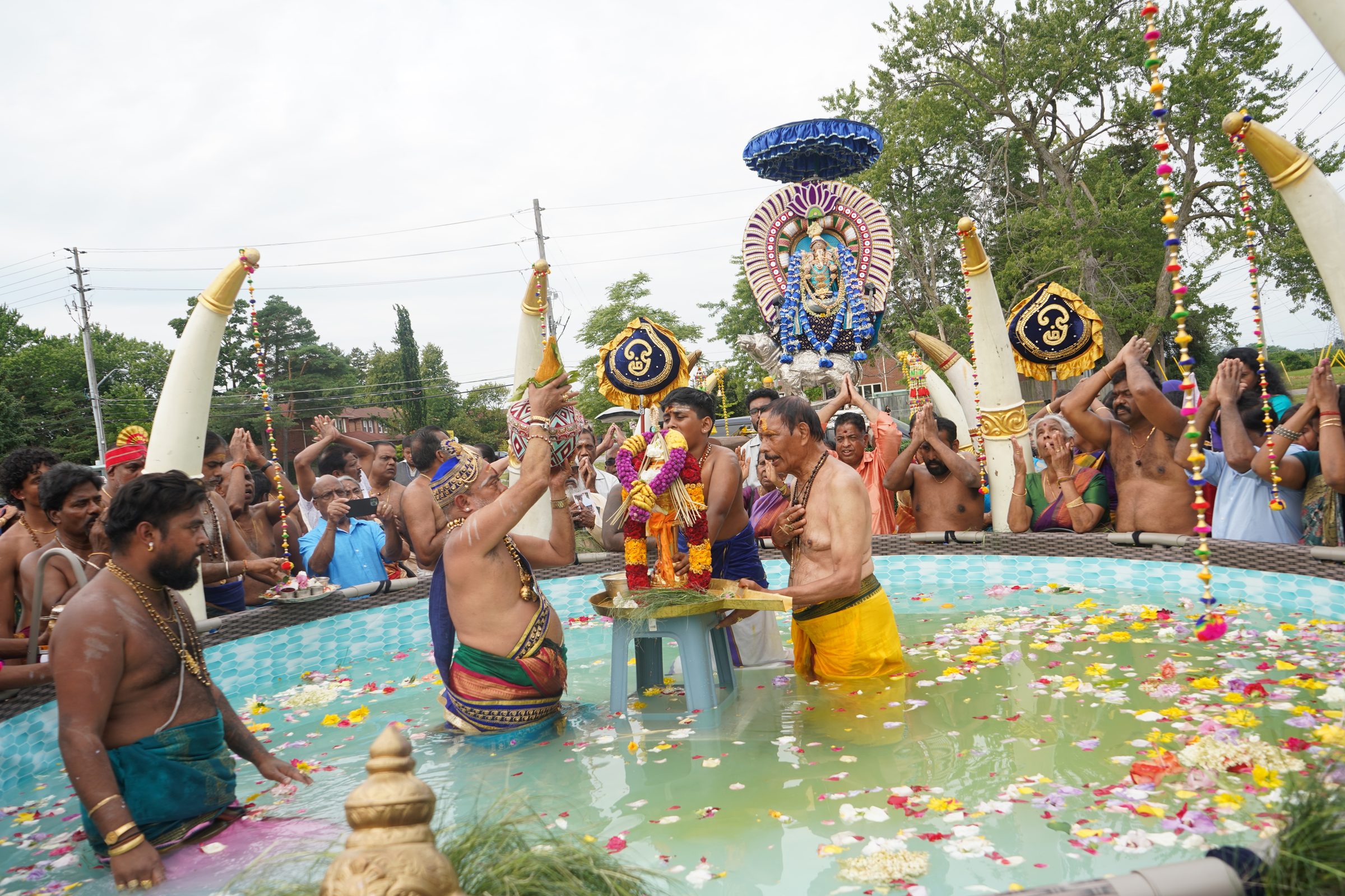 Festival 2026 photo