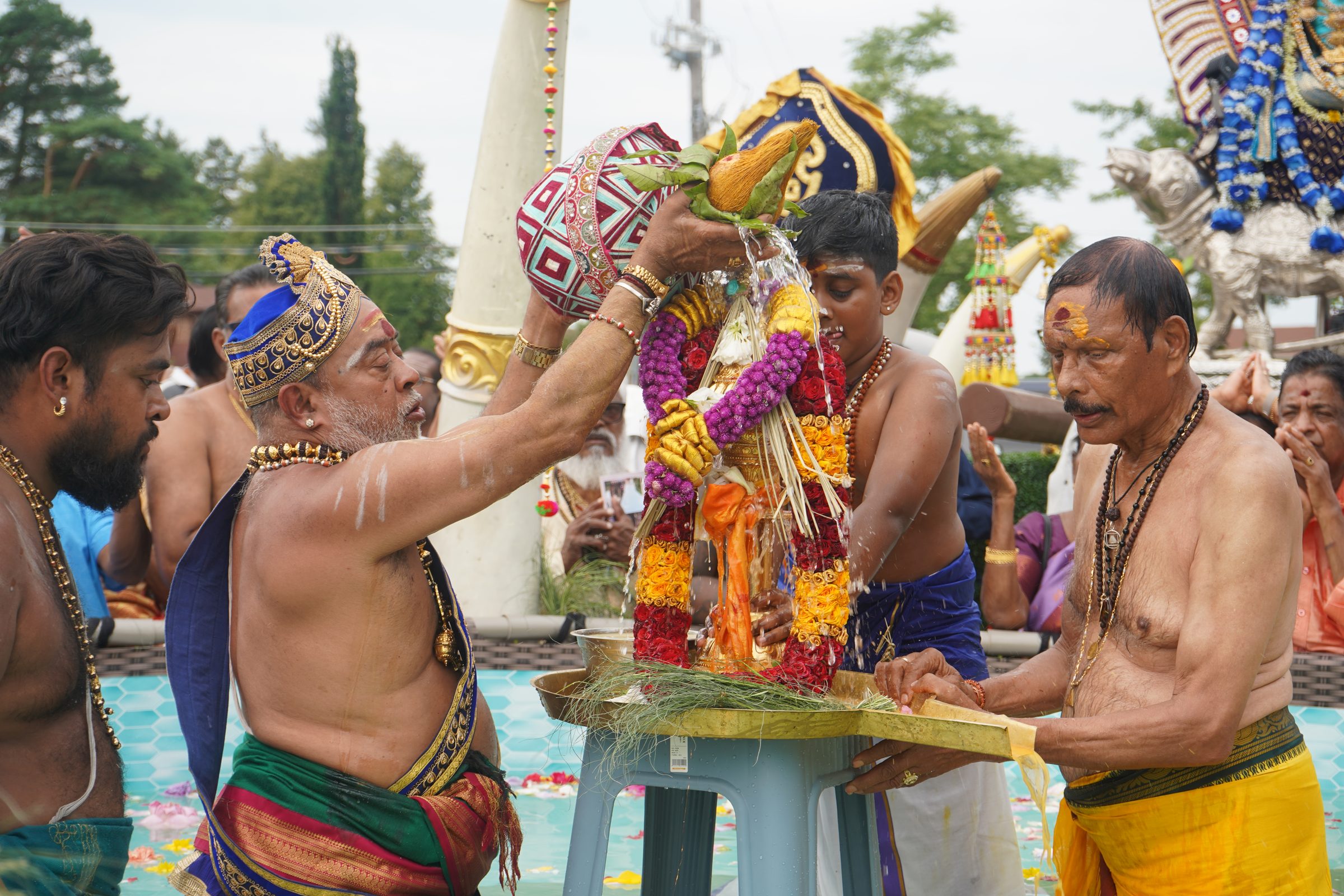 Festival 2026 photo