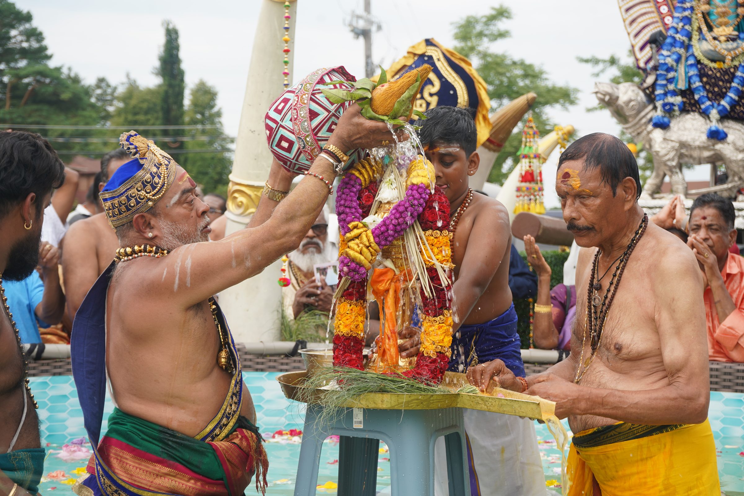 Festival 2026 photo