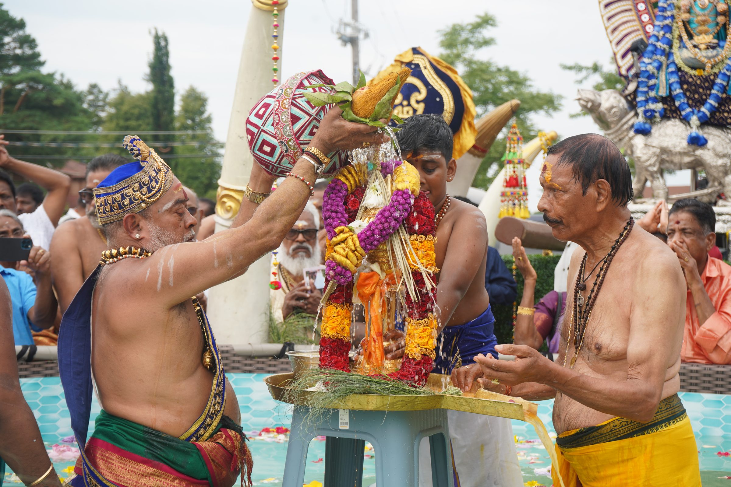 Festival 2026 photo