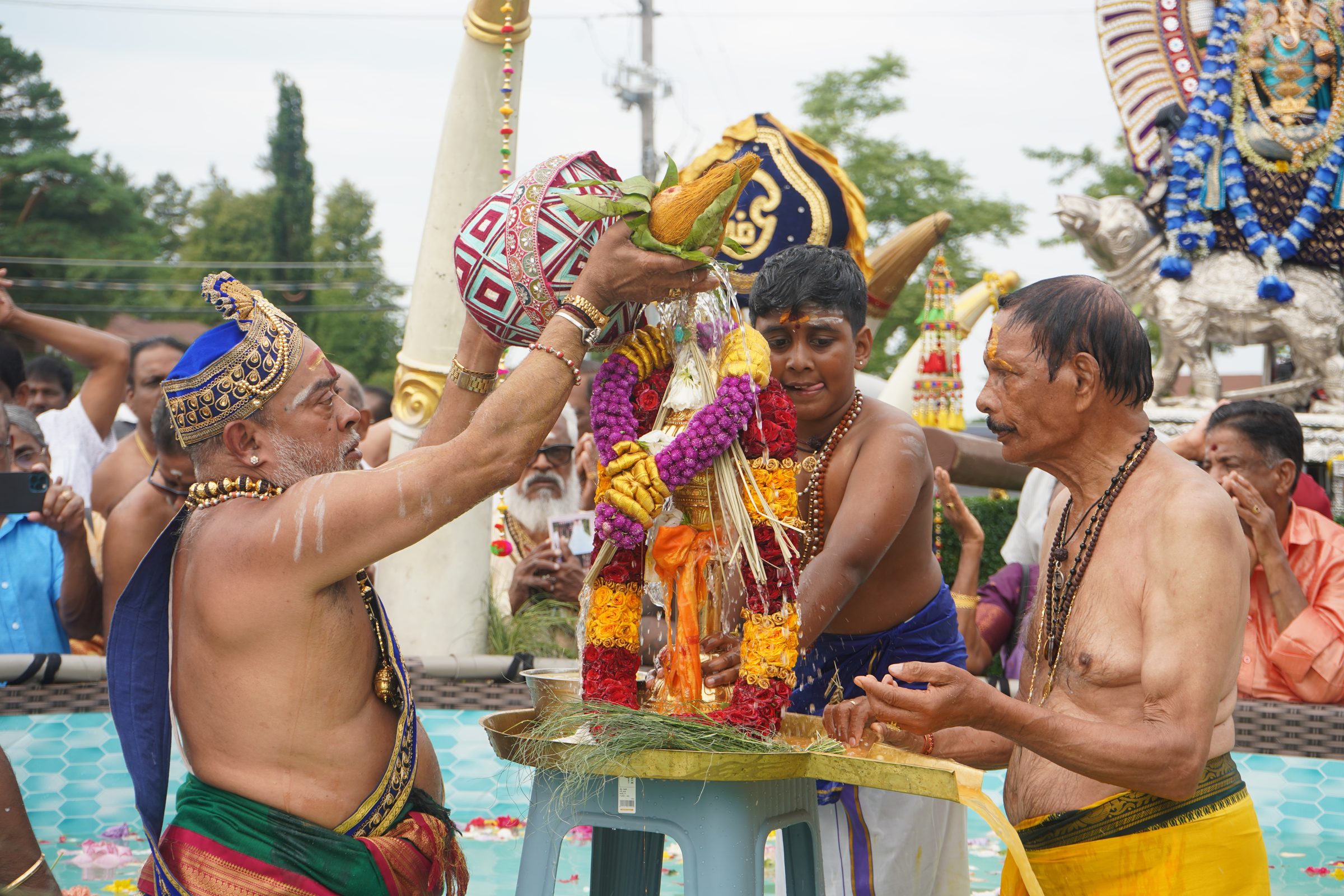 Festival 2026 photo