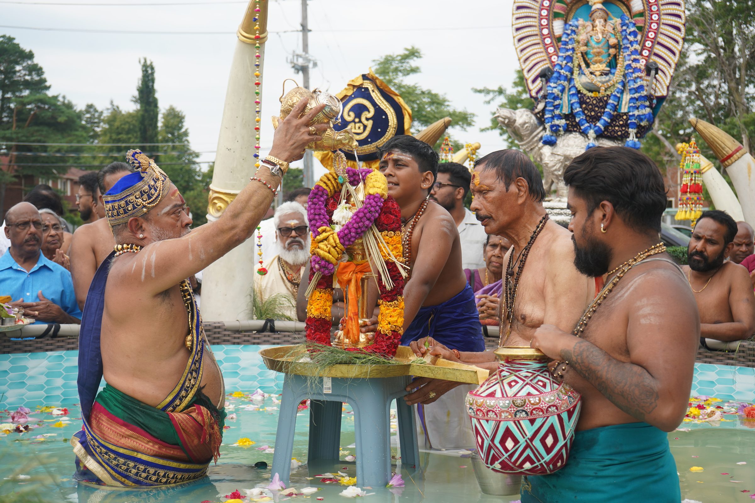 Festival 2026 photo