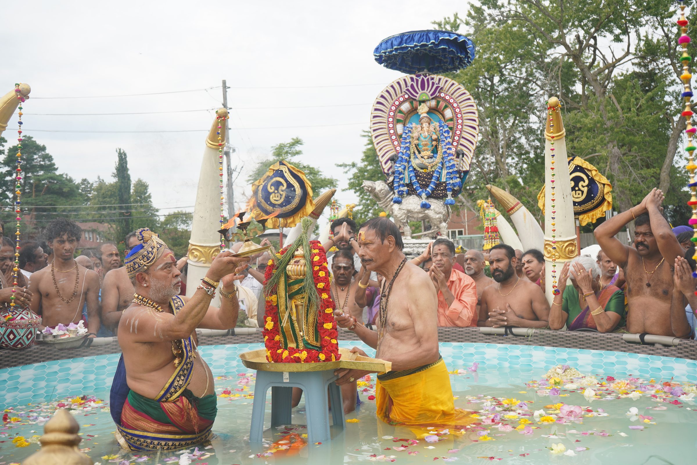 Festival 2026 photo