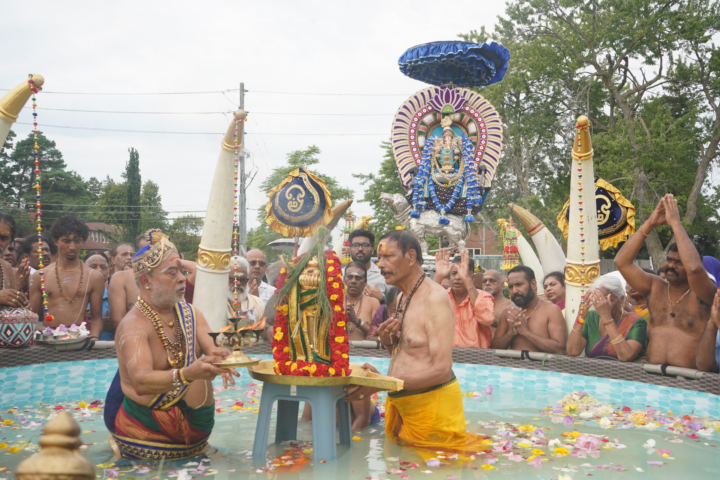 Festival 2026 photo