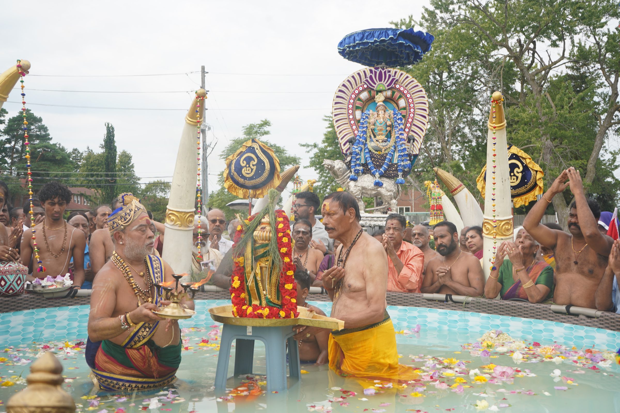 Festival 2026 photo