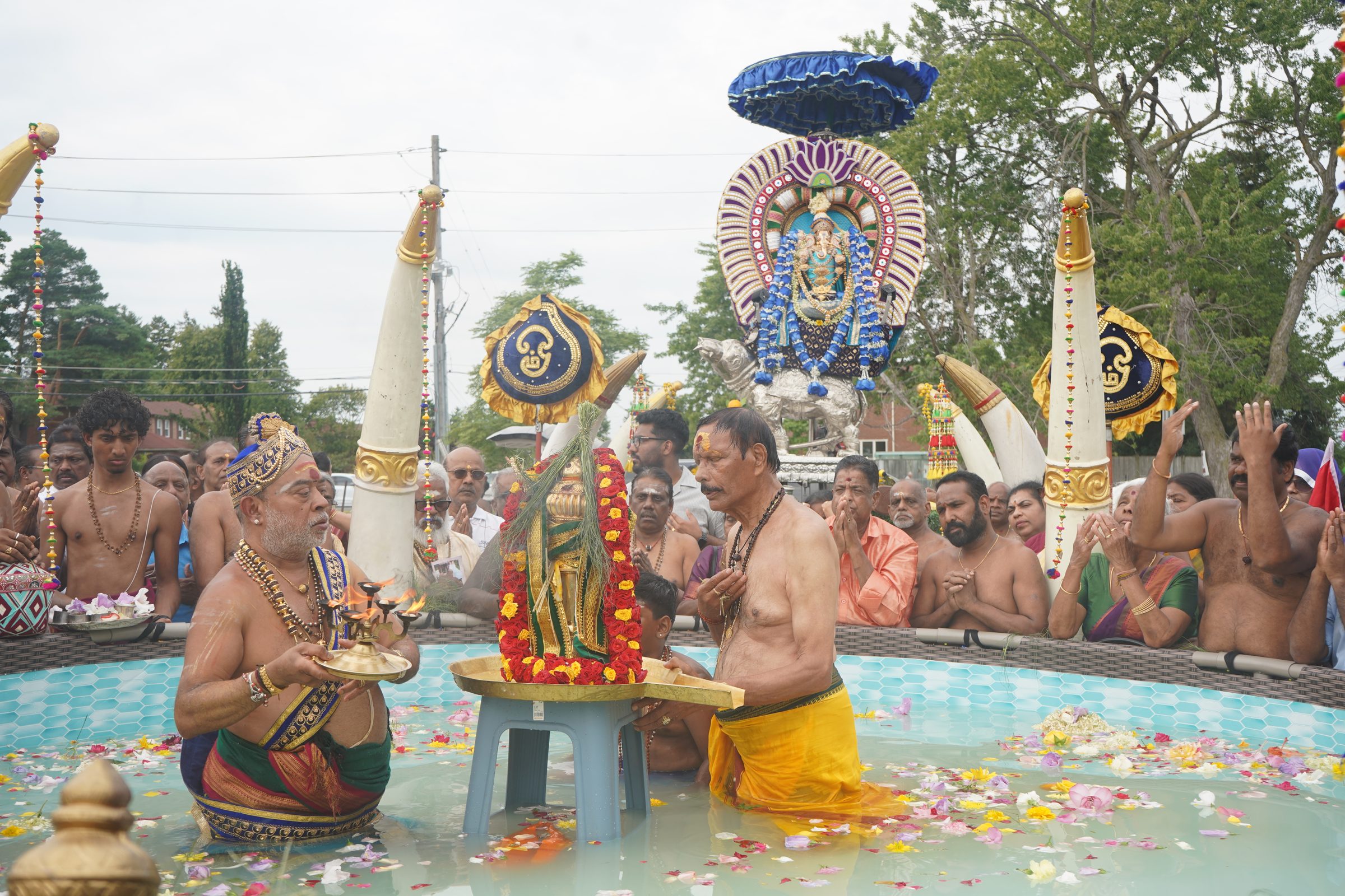 Festival 2026 photo