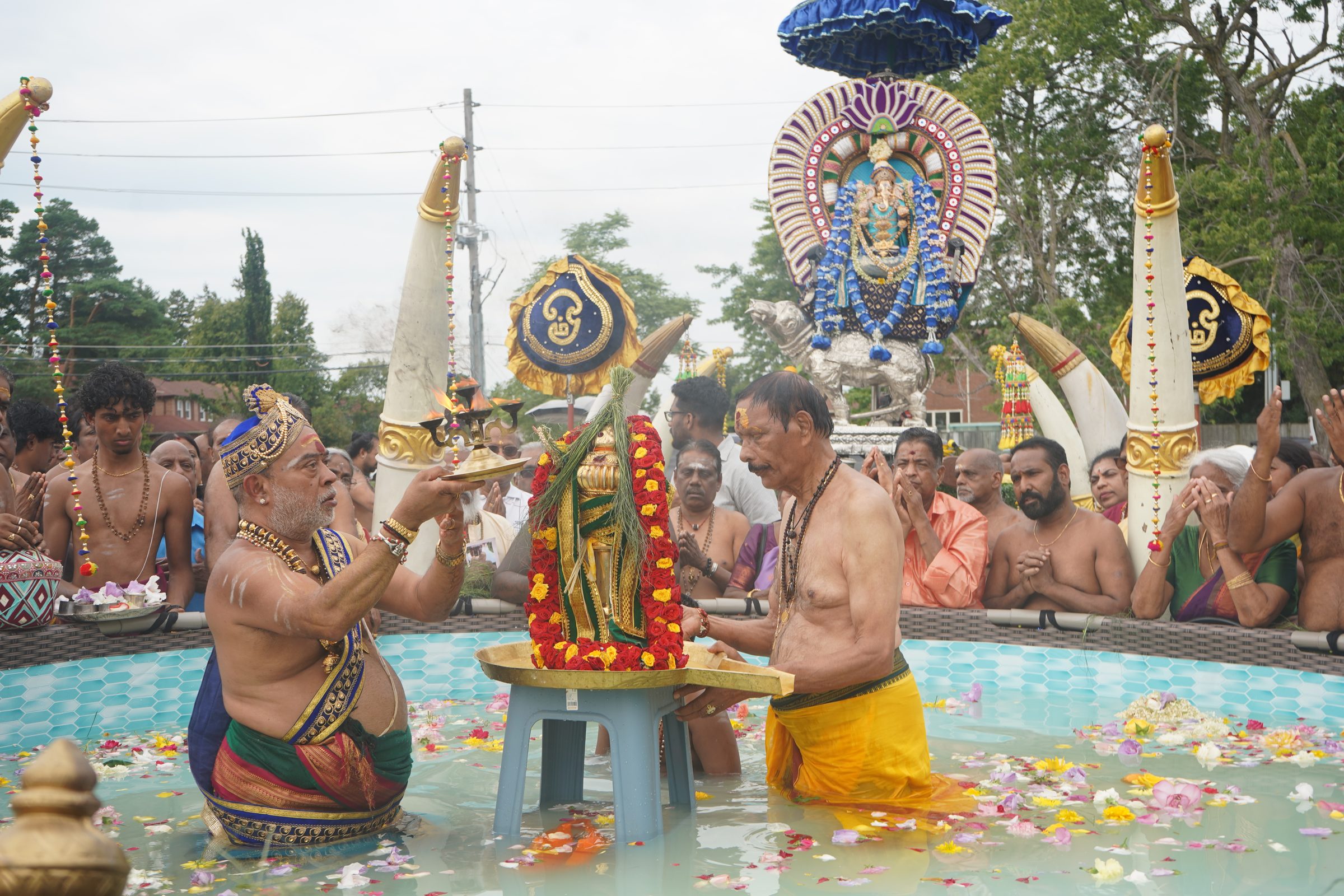 Festival 2026 photo