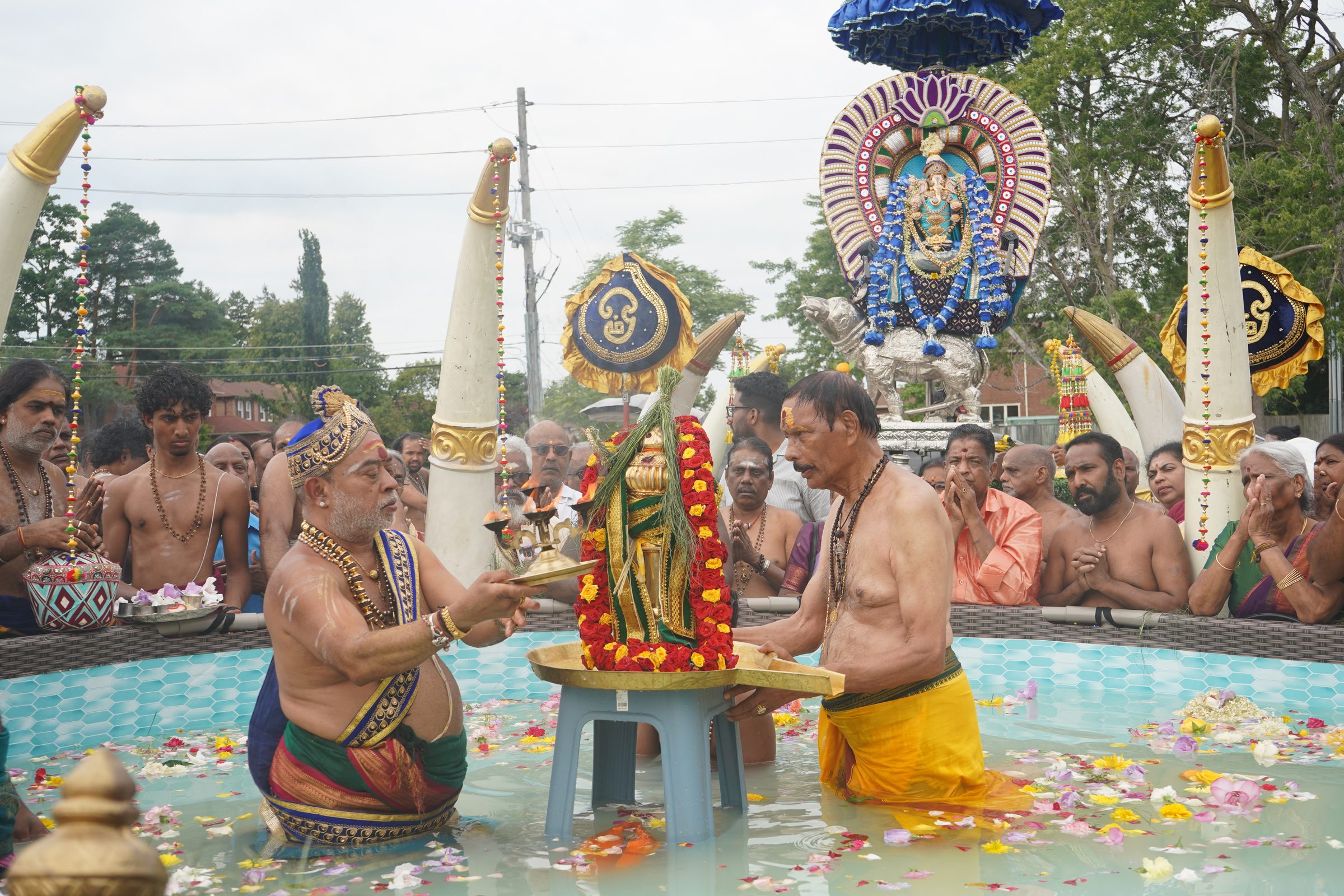 Festival 2026 photo