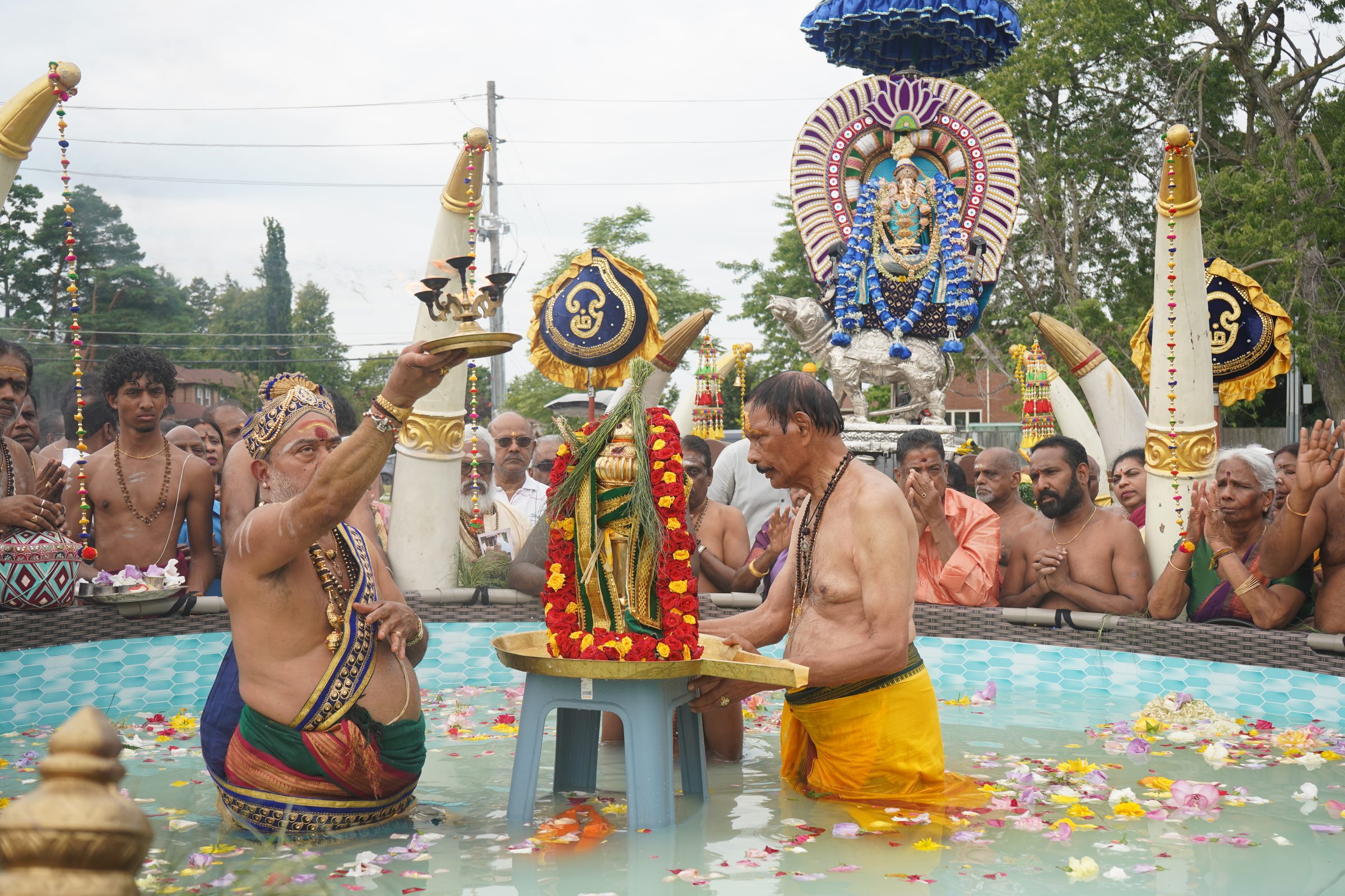 Festival 2026 photo