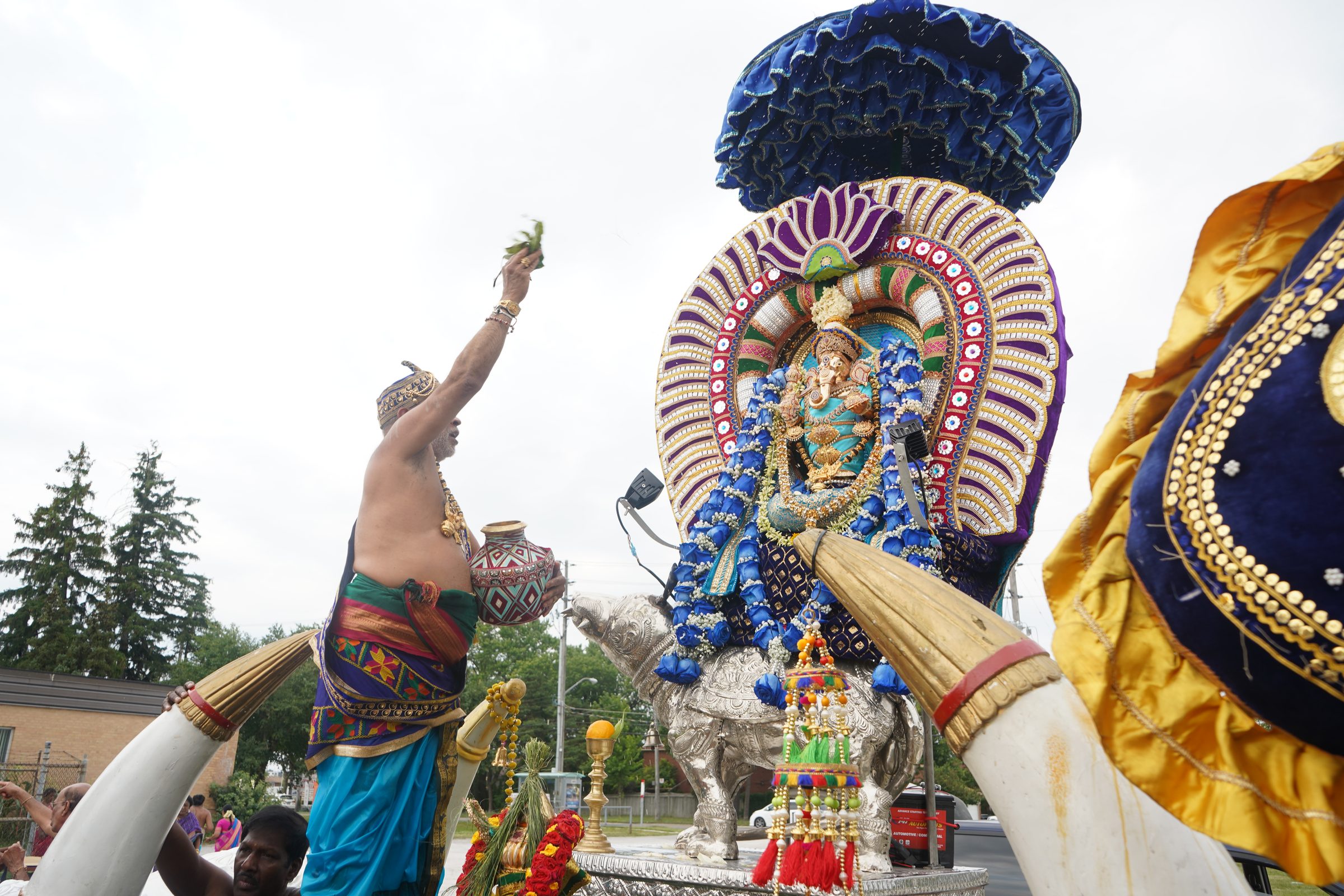 Festival 2026 photo