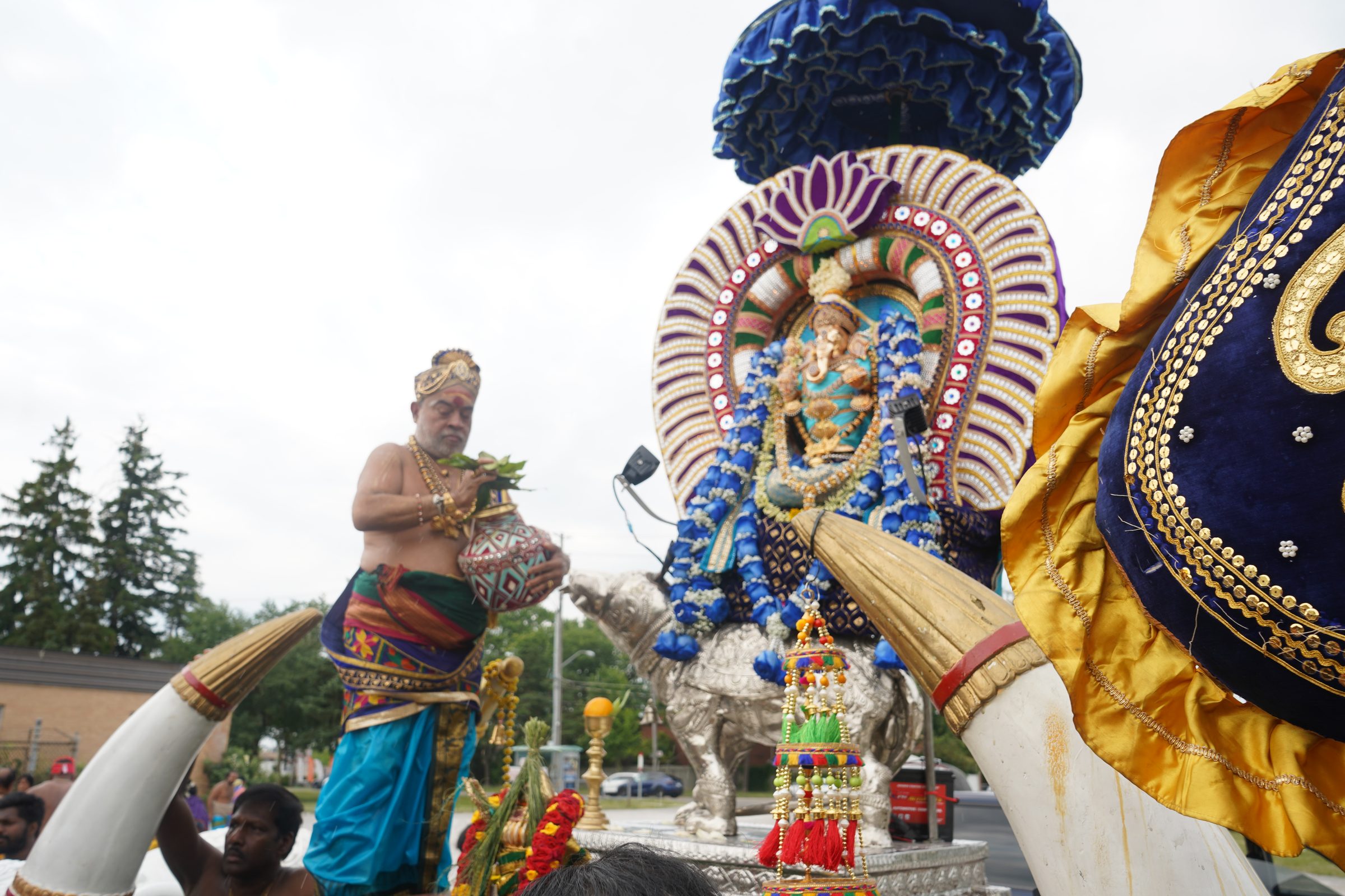 Festival 2026 photo