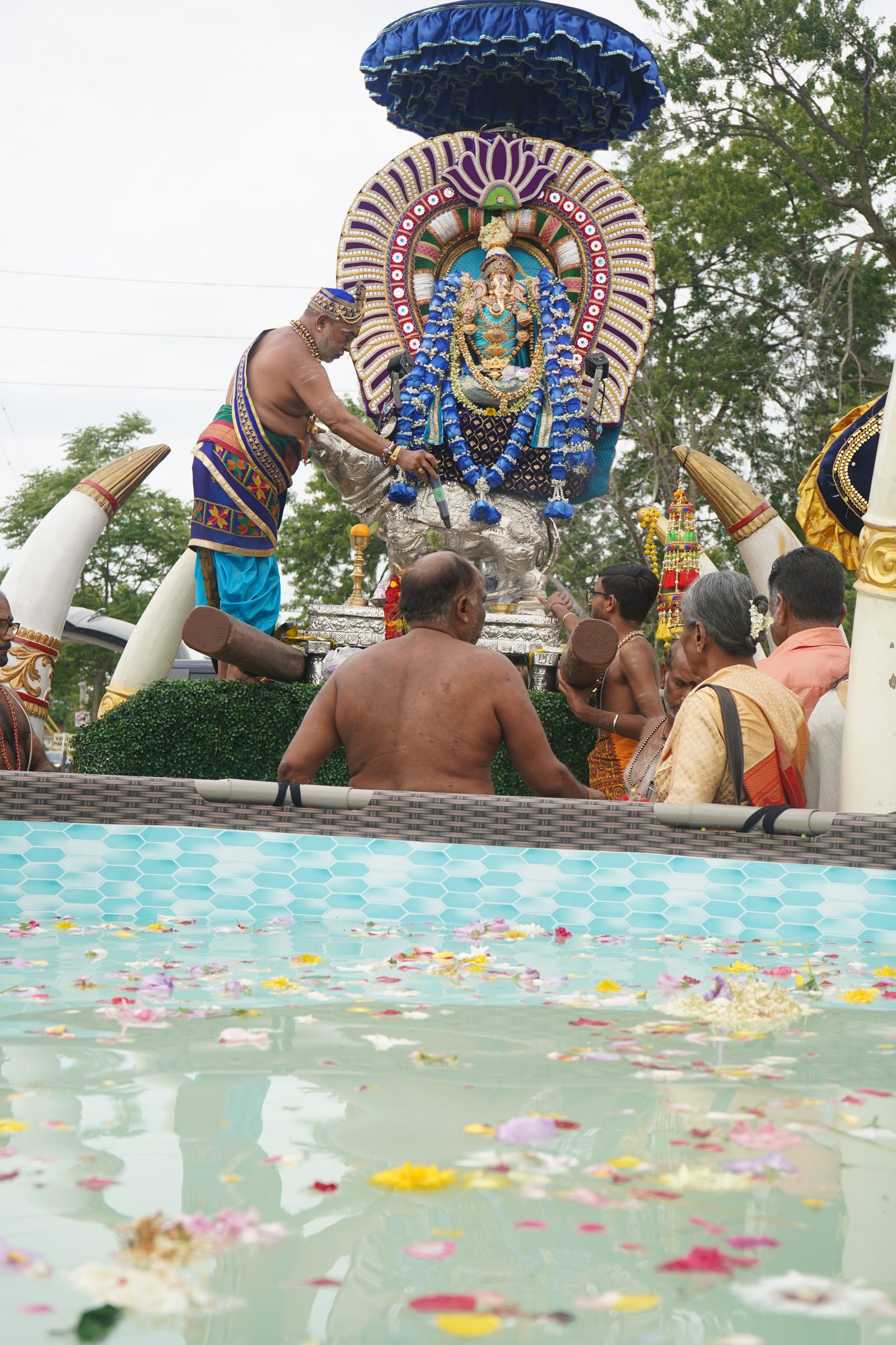 Festival 2026 photo