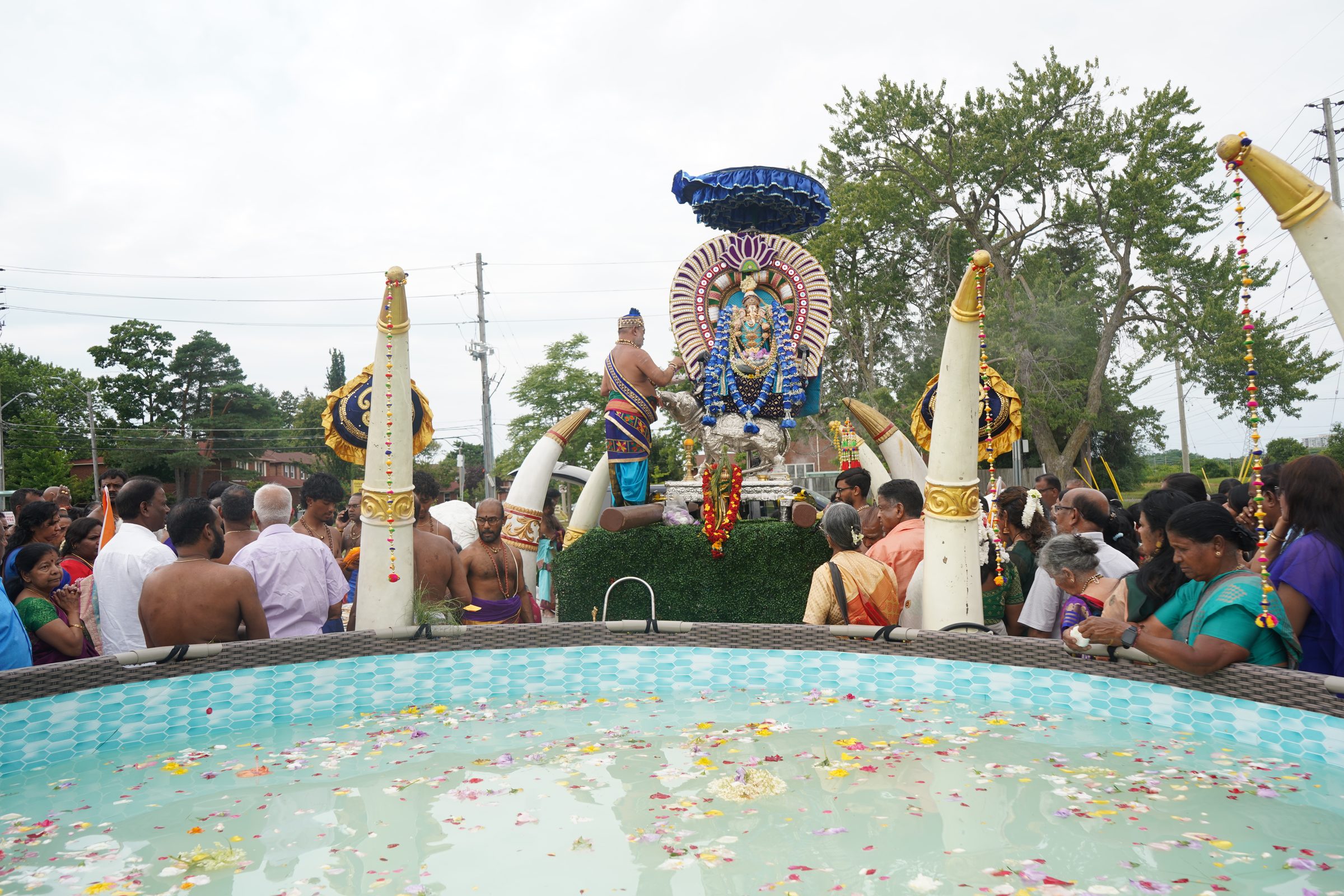 Festival 2026 photo