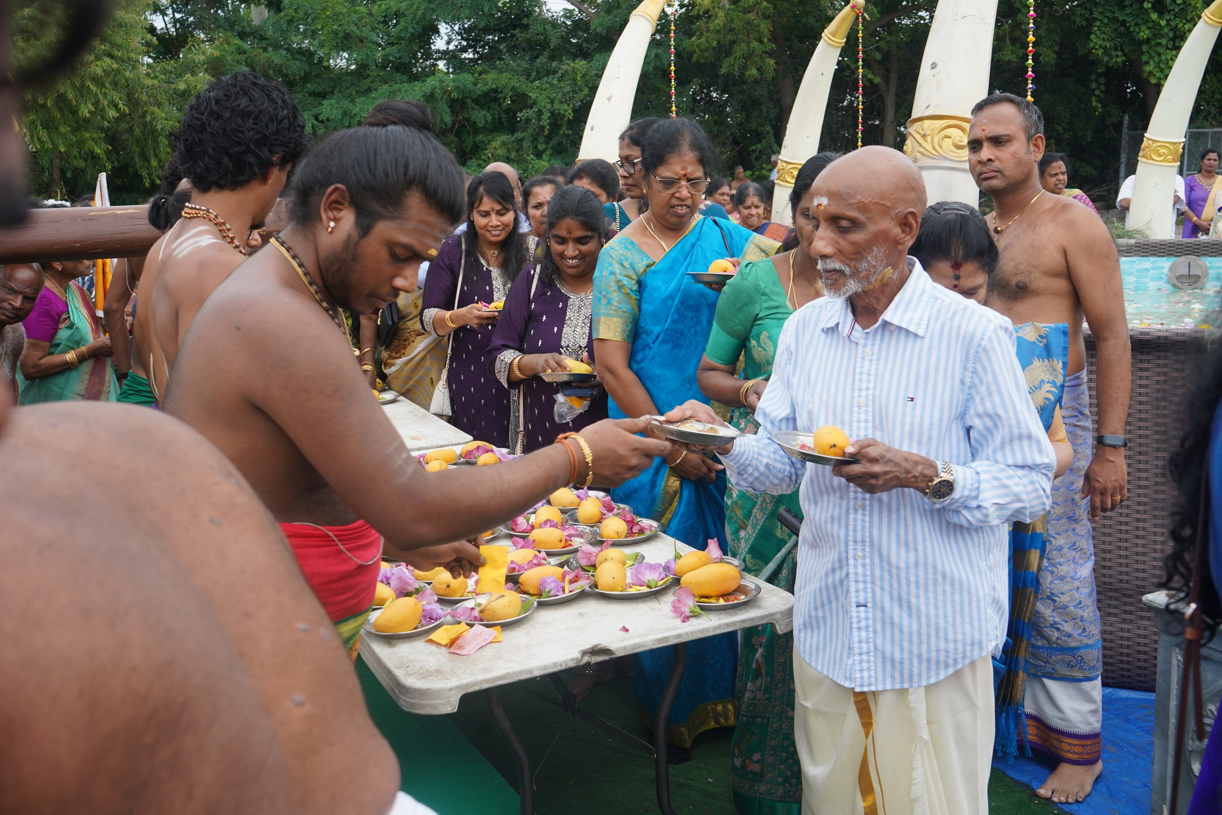 Festival 2026 photo