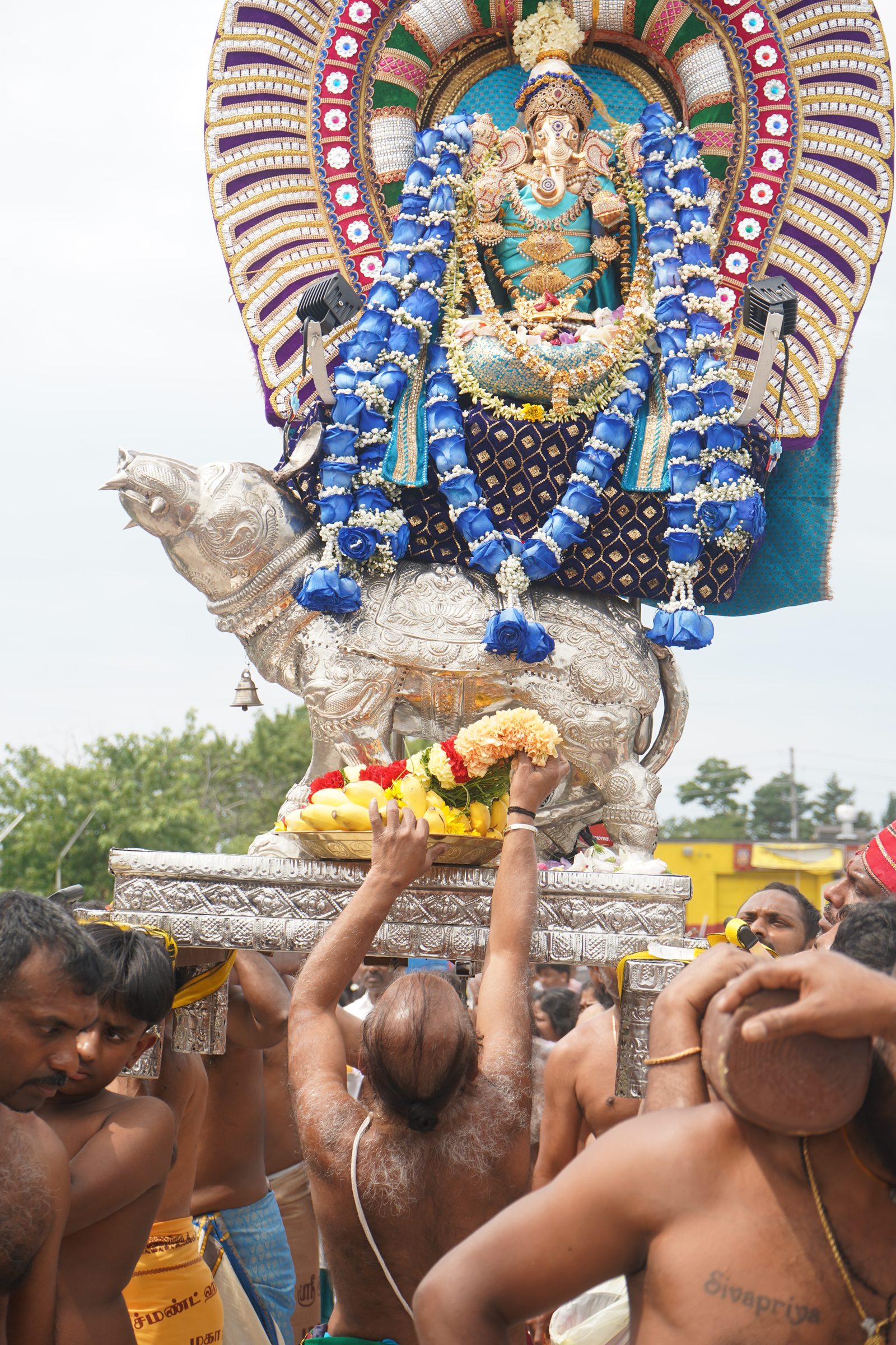 Festival 2026 photo