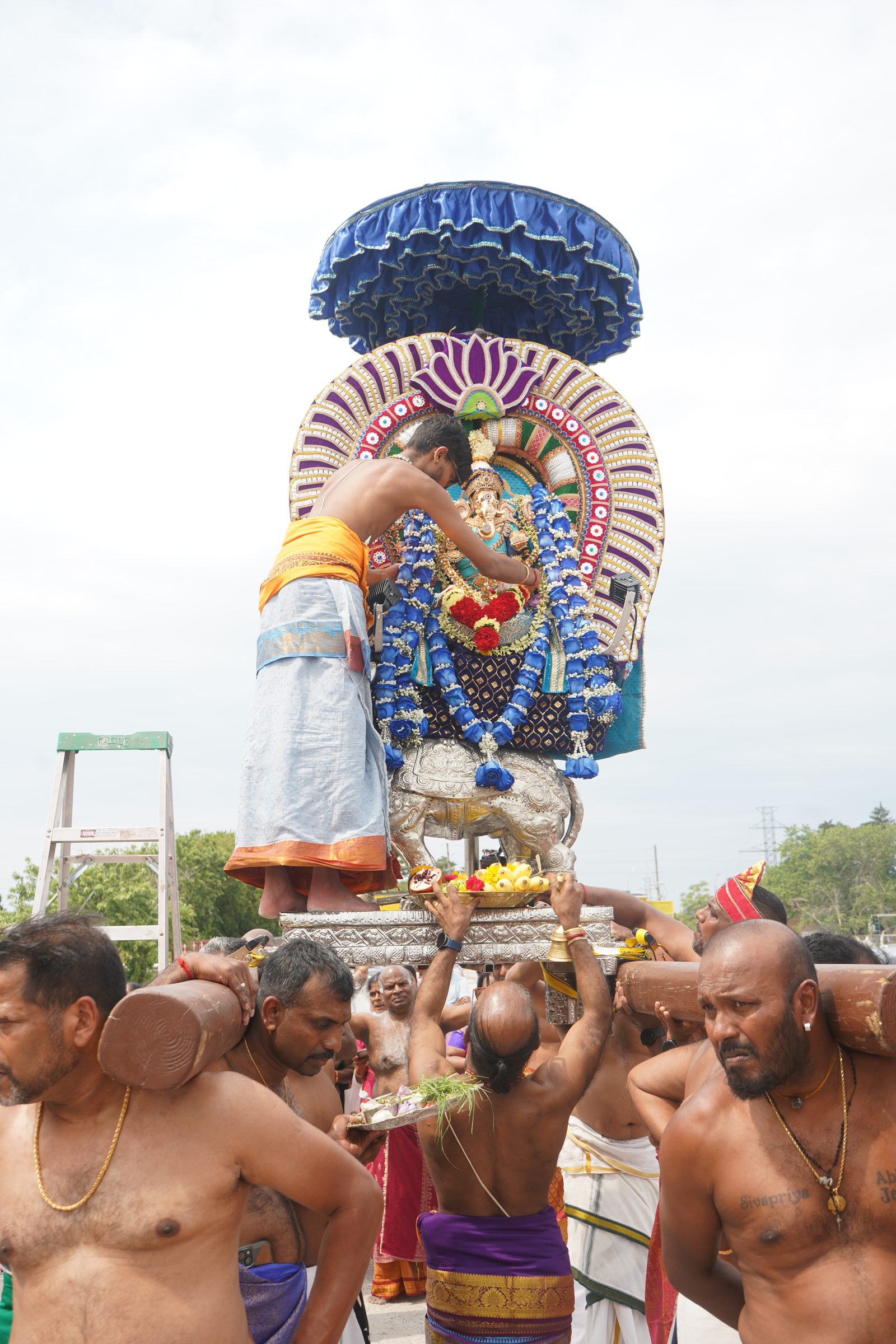 Festival 2026 photo