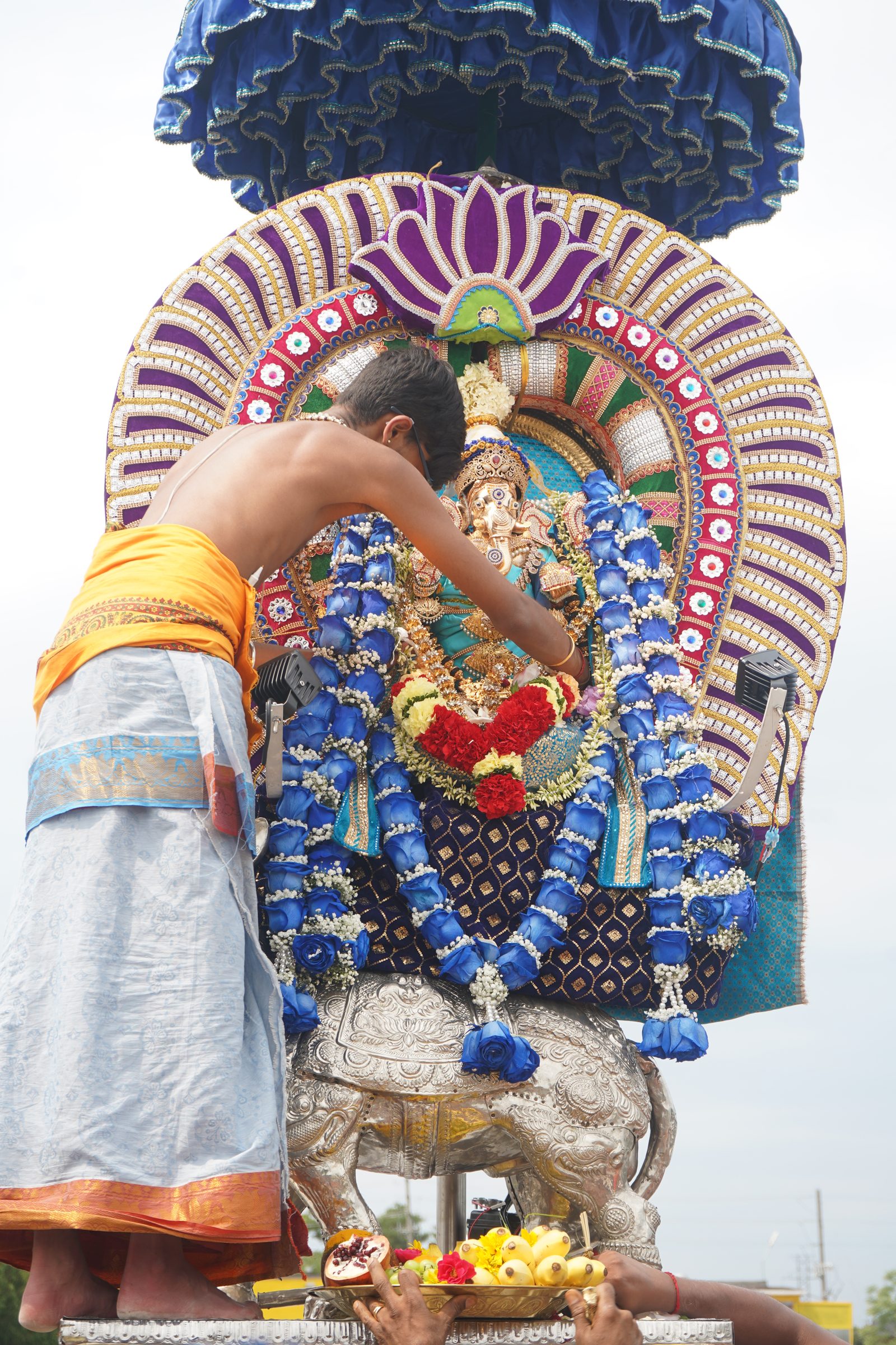Festival 2026 photo