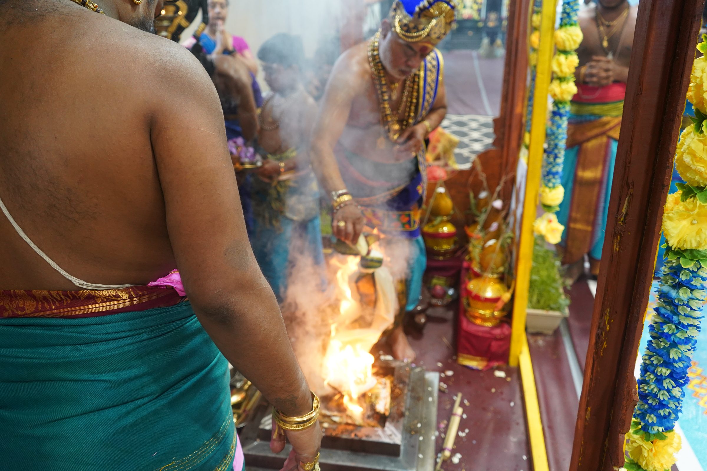 Festival 2026 photo