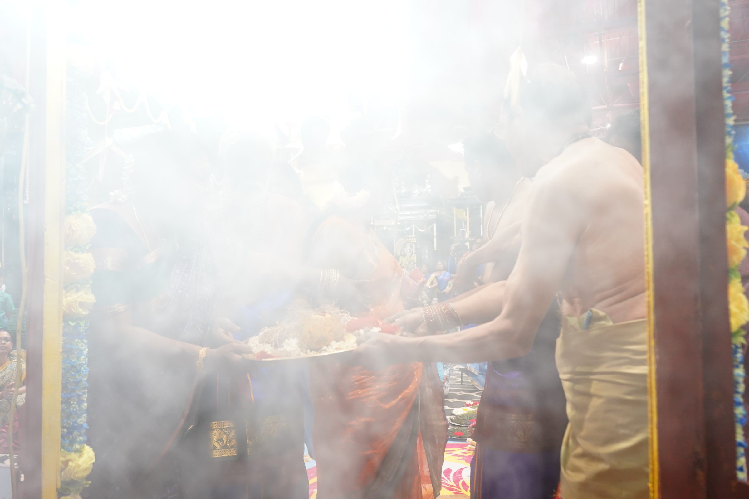 Festival 2026 photo