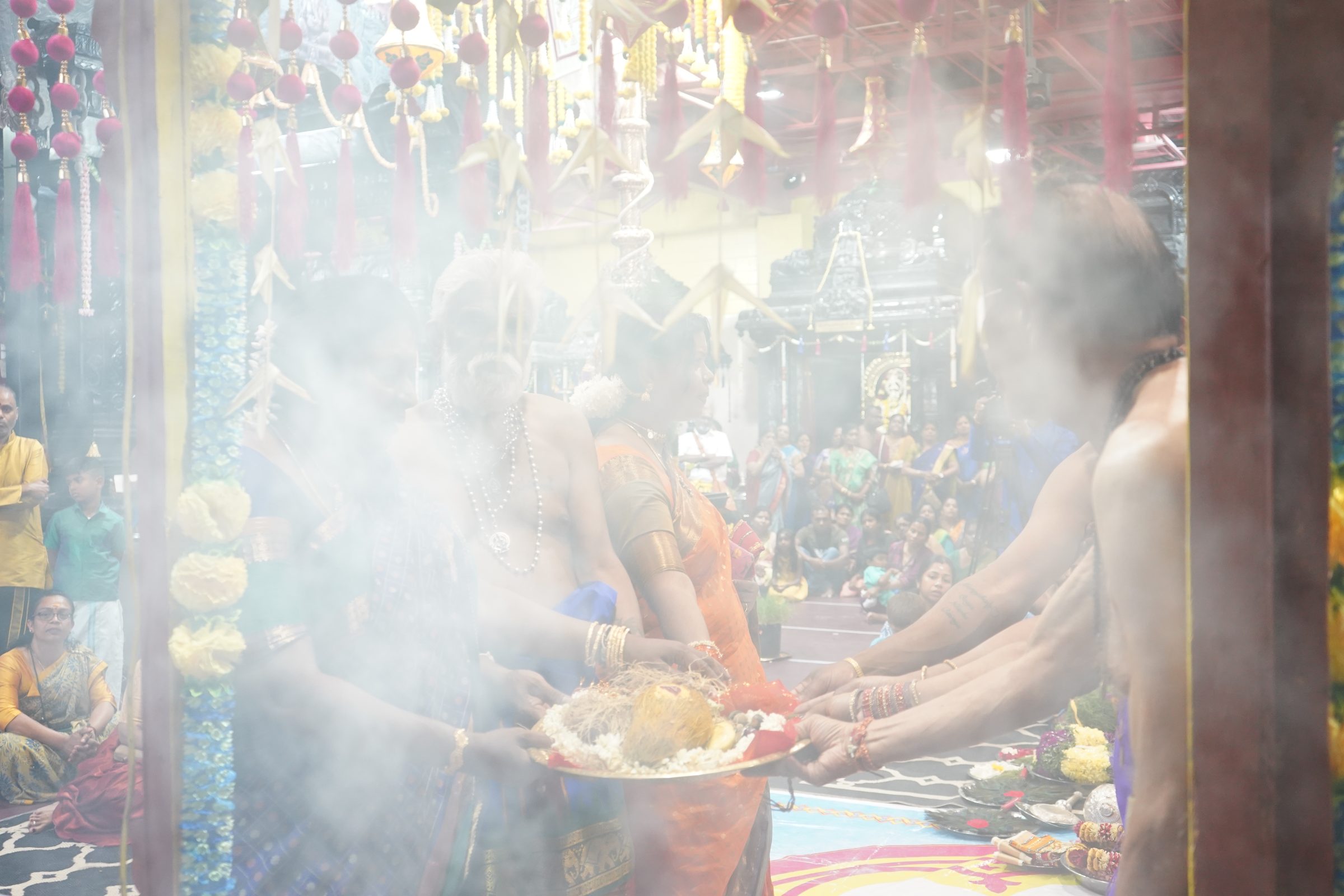 Festival 2026 photo
