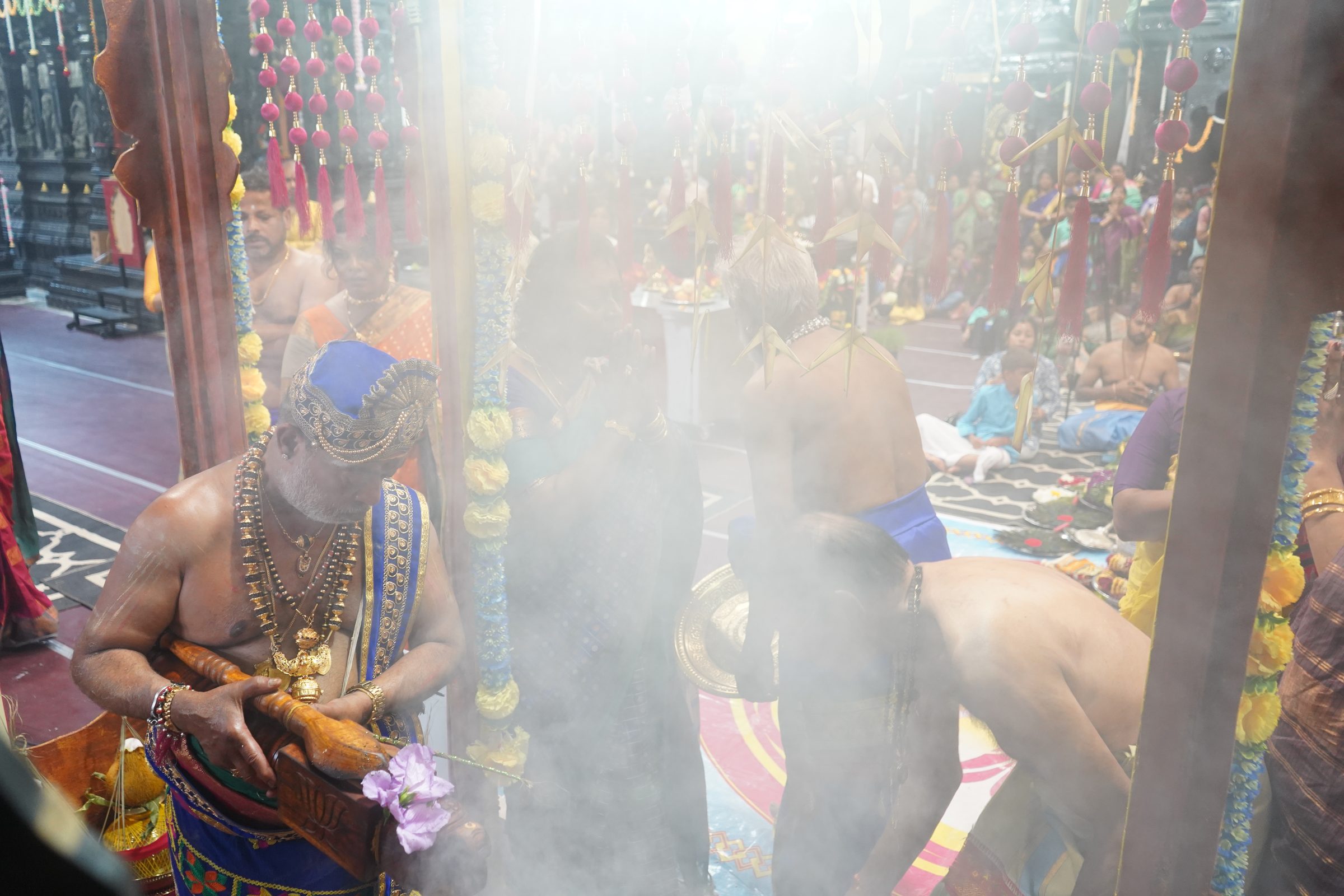 Festival 2026 photo