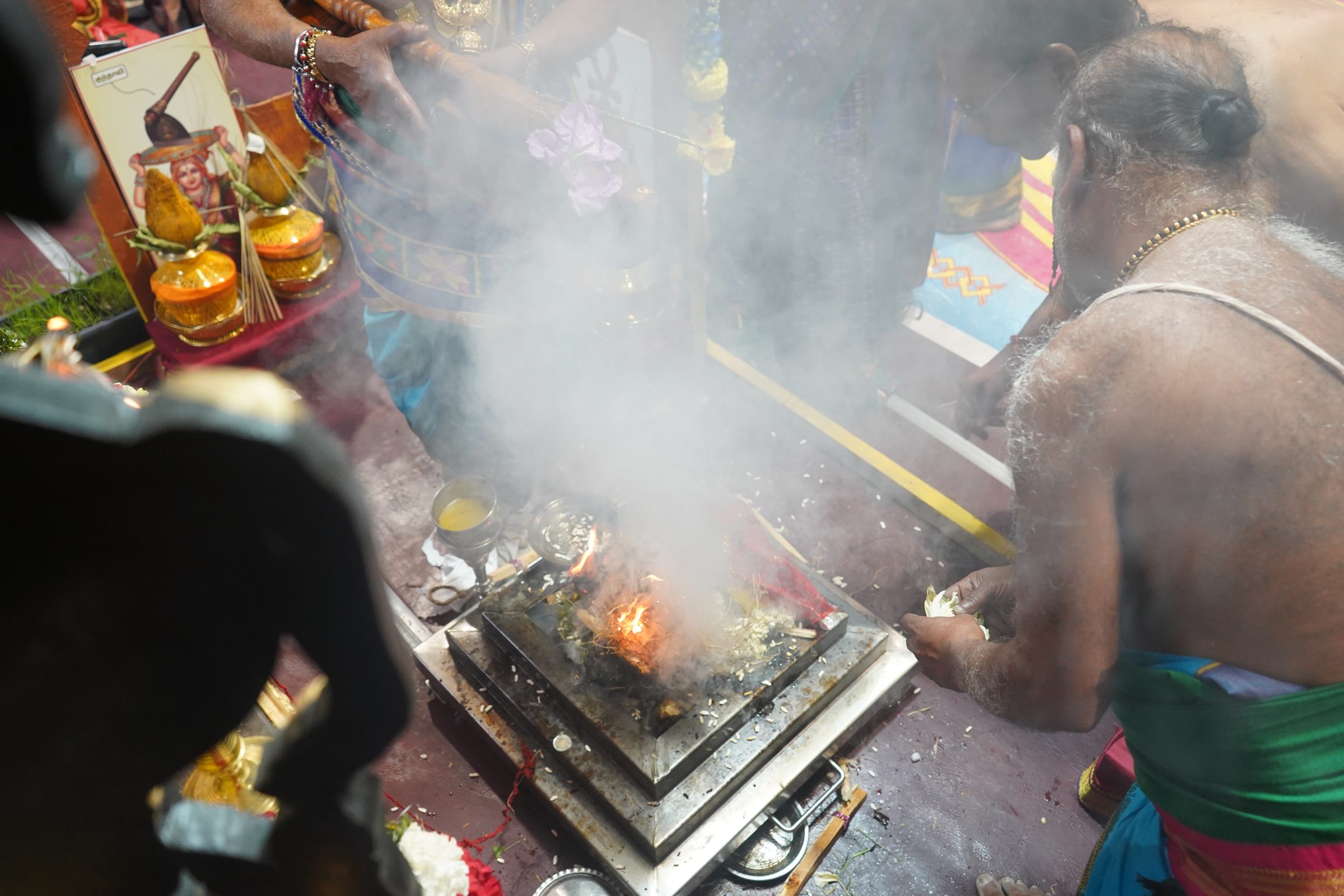 Festival 2026 photo
