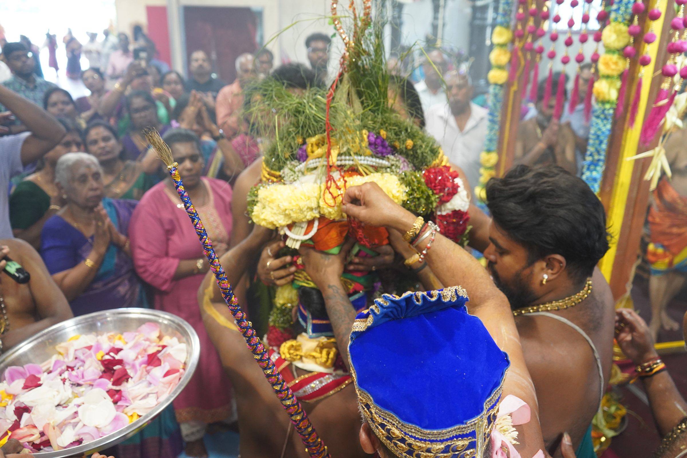 Festival 2026 photo