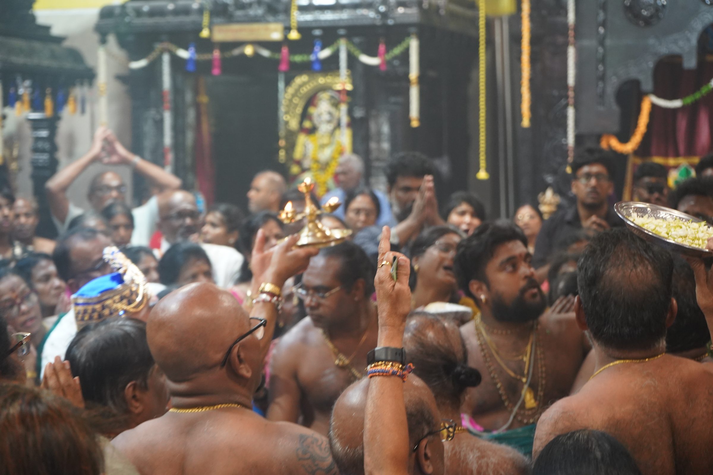 Festival 2026 photo