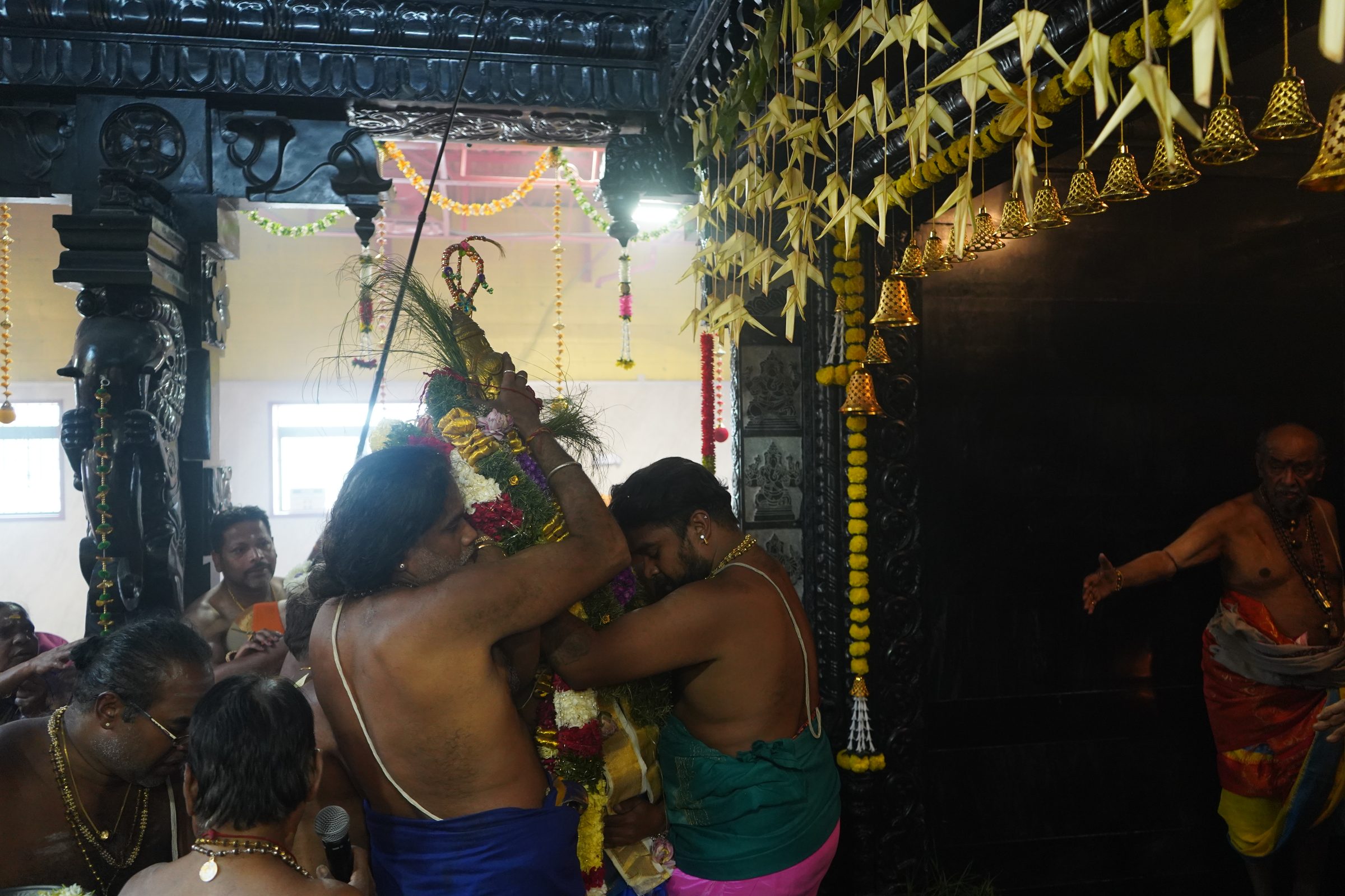 Festival 2026 photo