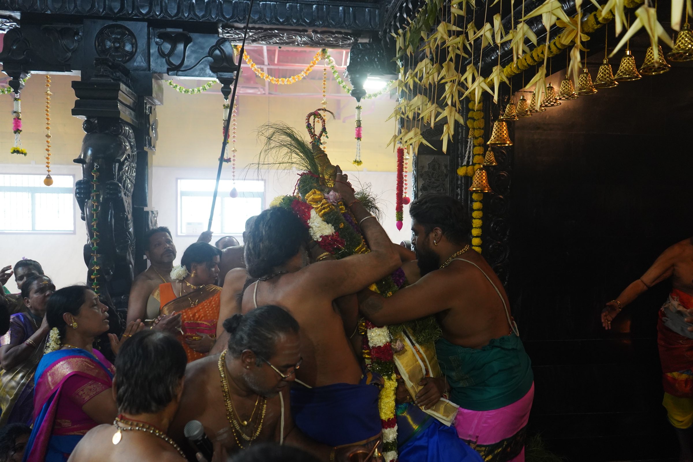 Festival 2026 photo
