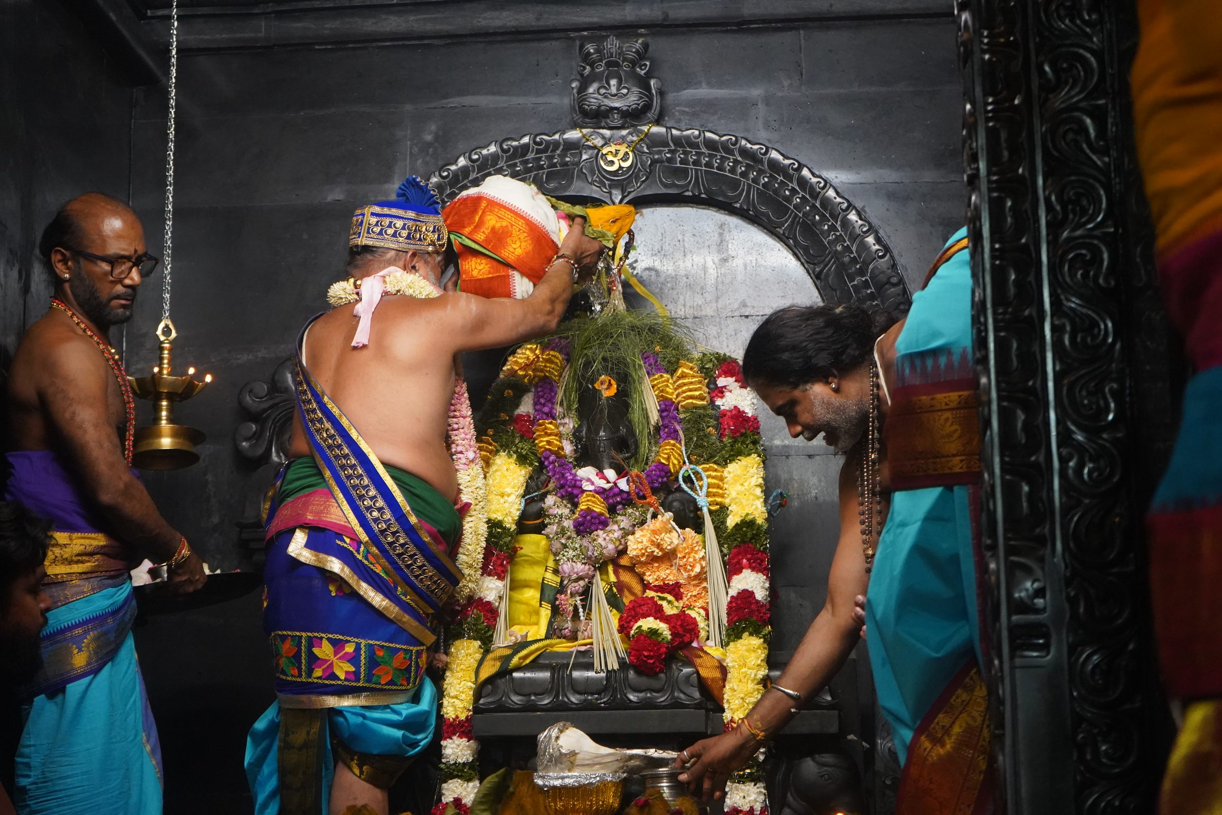 Festival 2026 photo