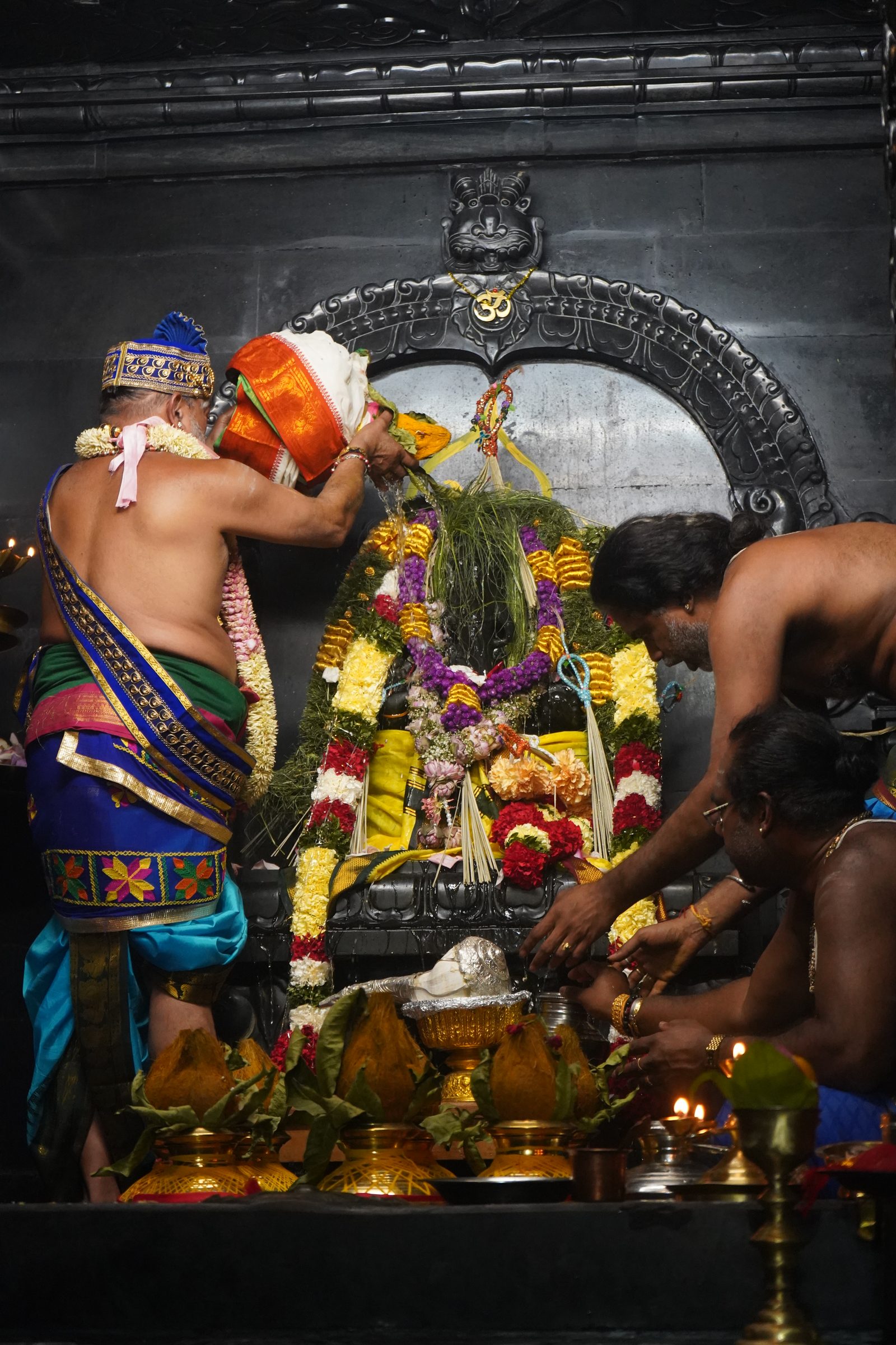 Festival 2026 photo